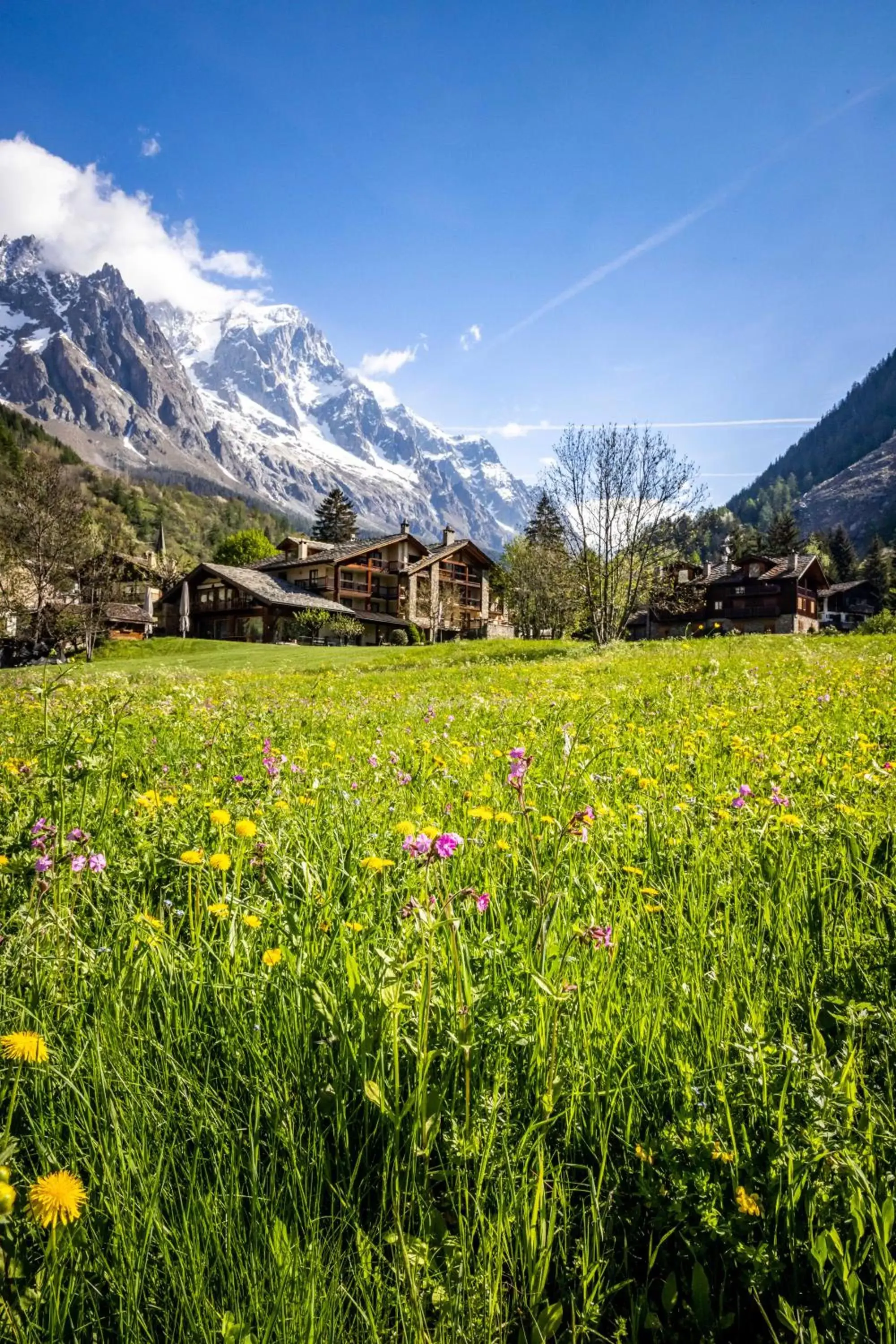 Garden, Natural Landscape in Auberge de La Maison