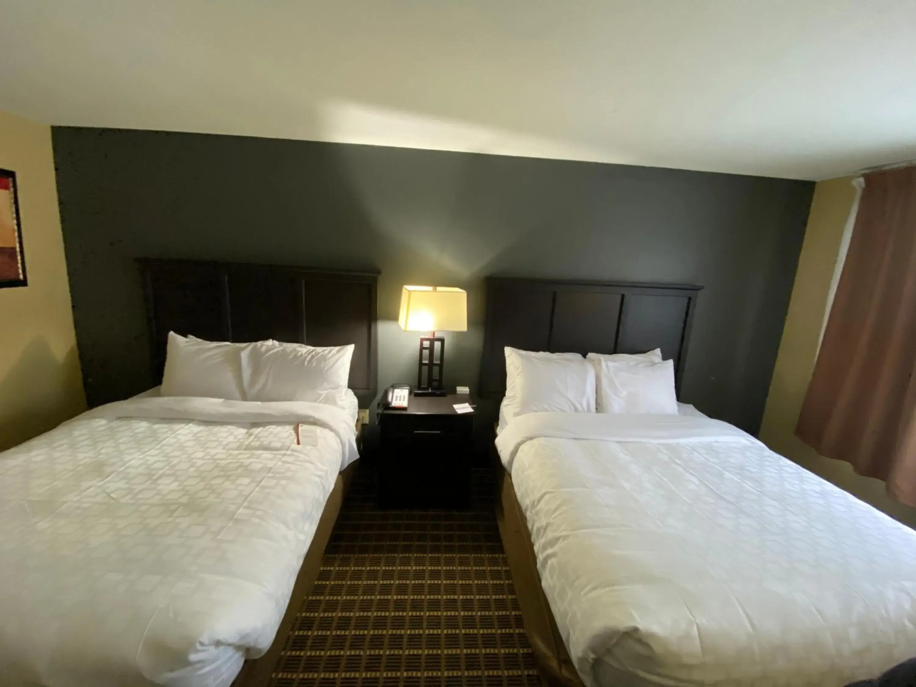 Bed in Clarion Inn & Suites