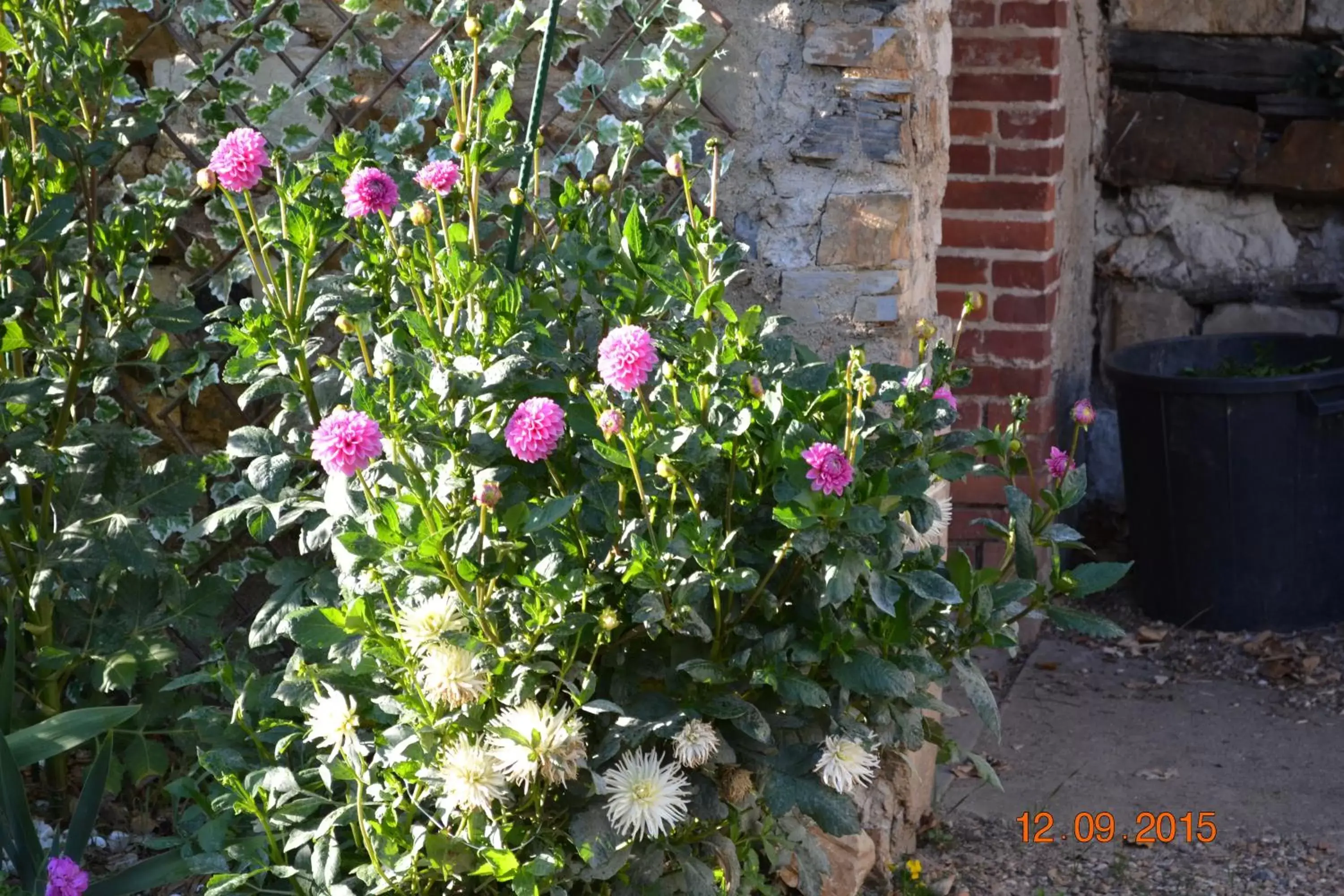 Garden in Hôtel Le Castel