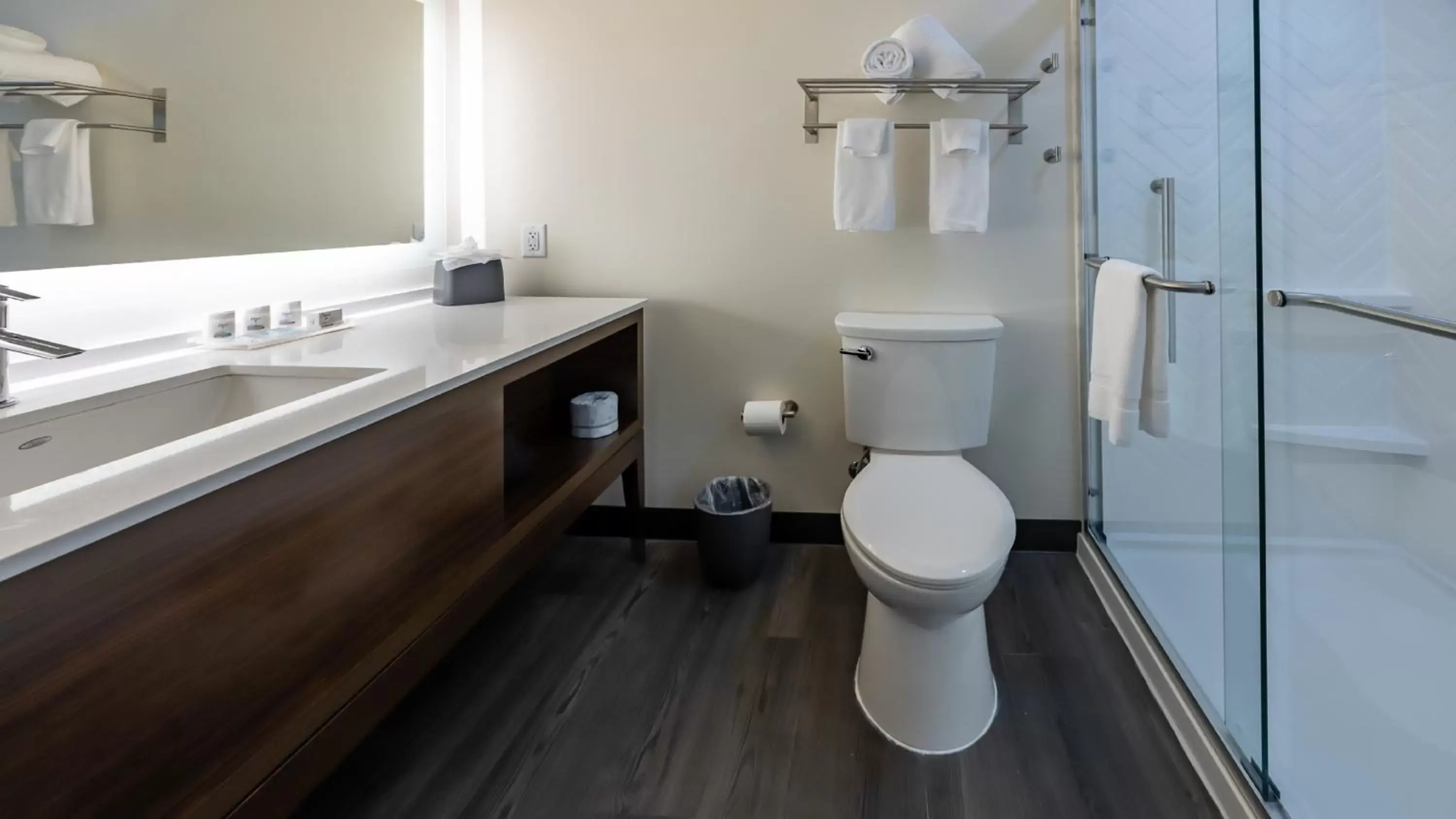Shower, Bathroom in Holiday Inn & Suites Atlanta Perimeter Dunwoody, an IHG Hotel