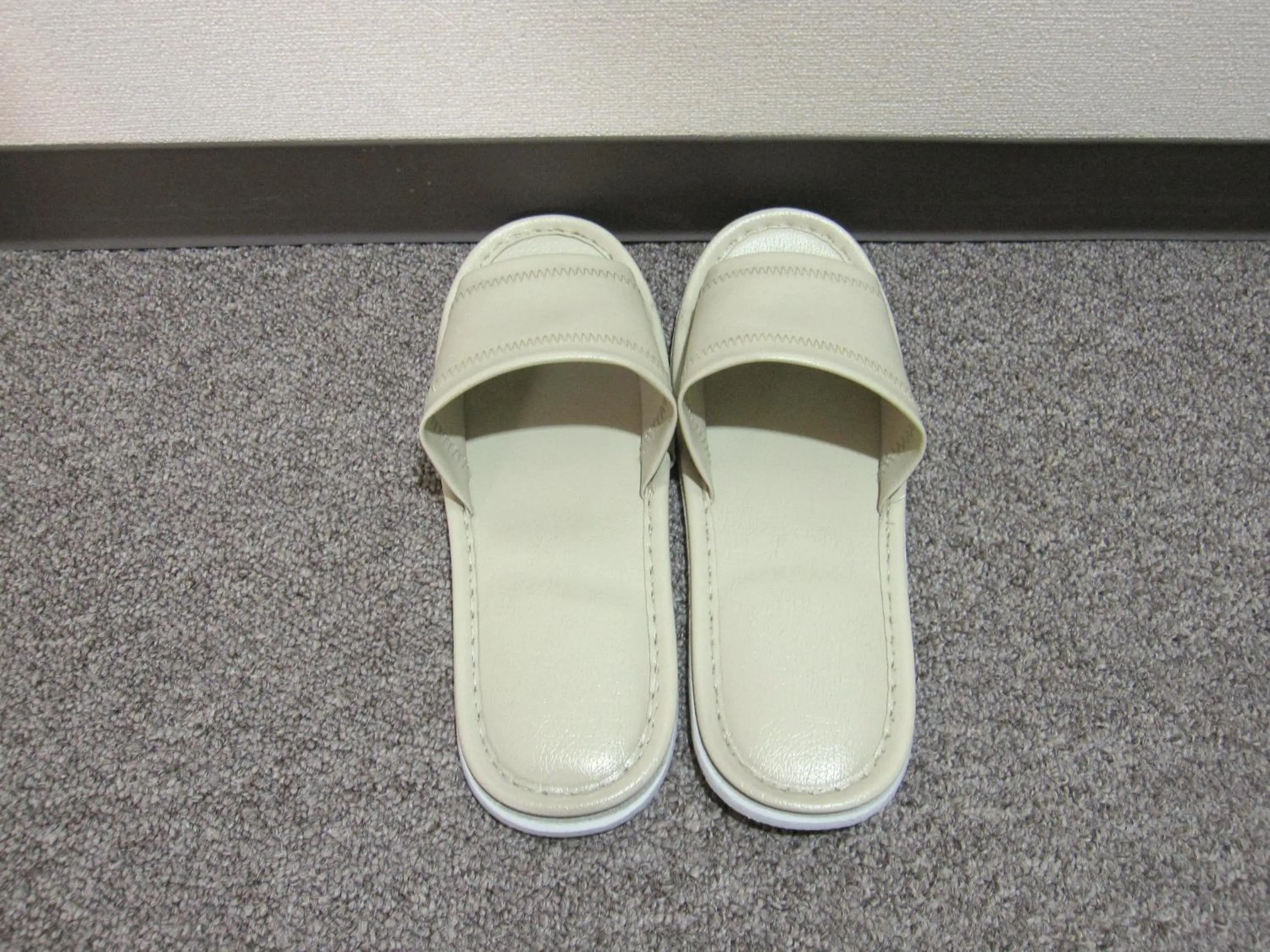 Other in Toyohashi Station Hotel