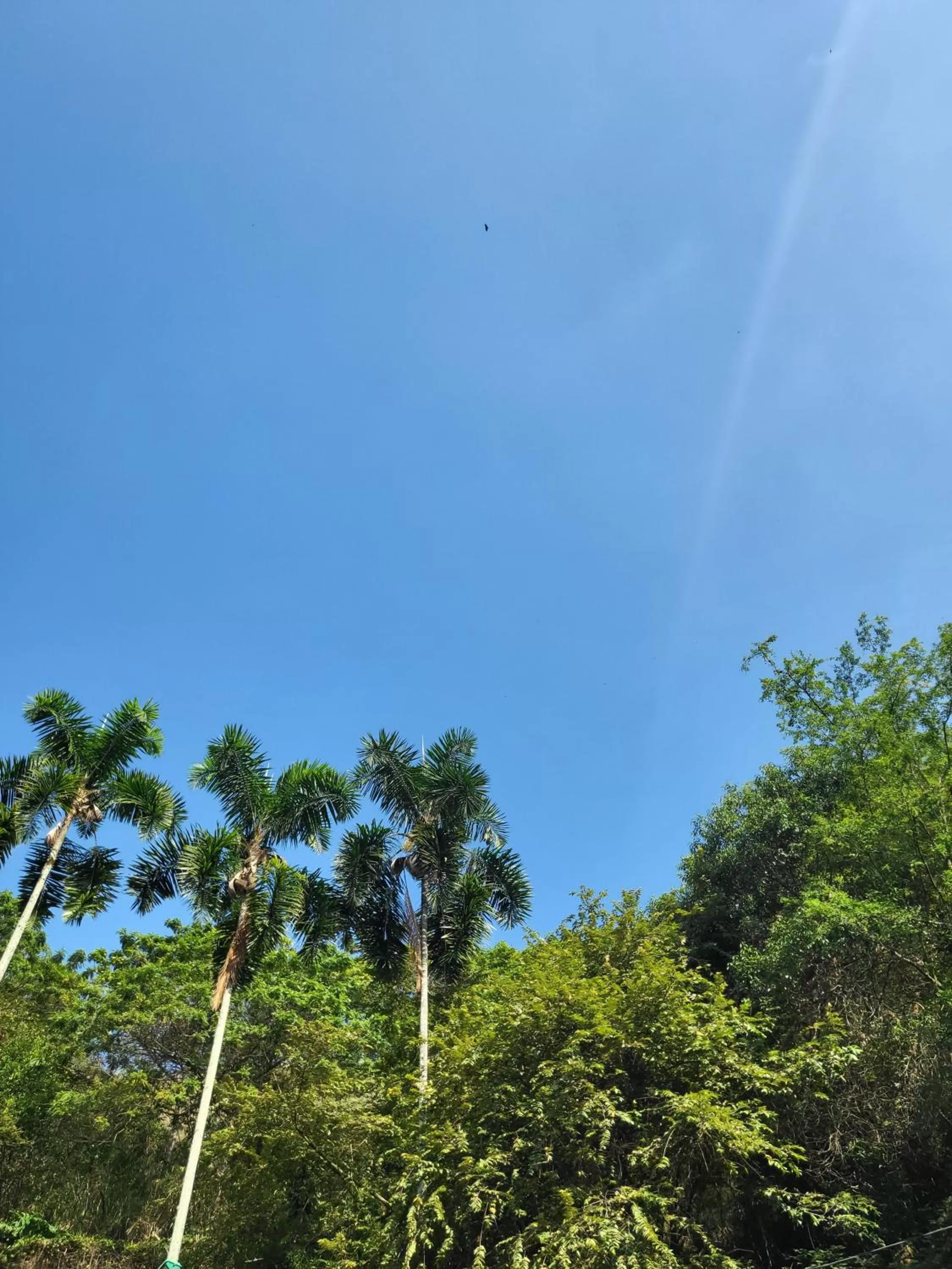View (from property/room) in Castellón de Juanambú