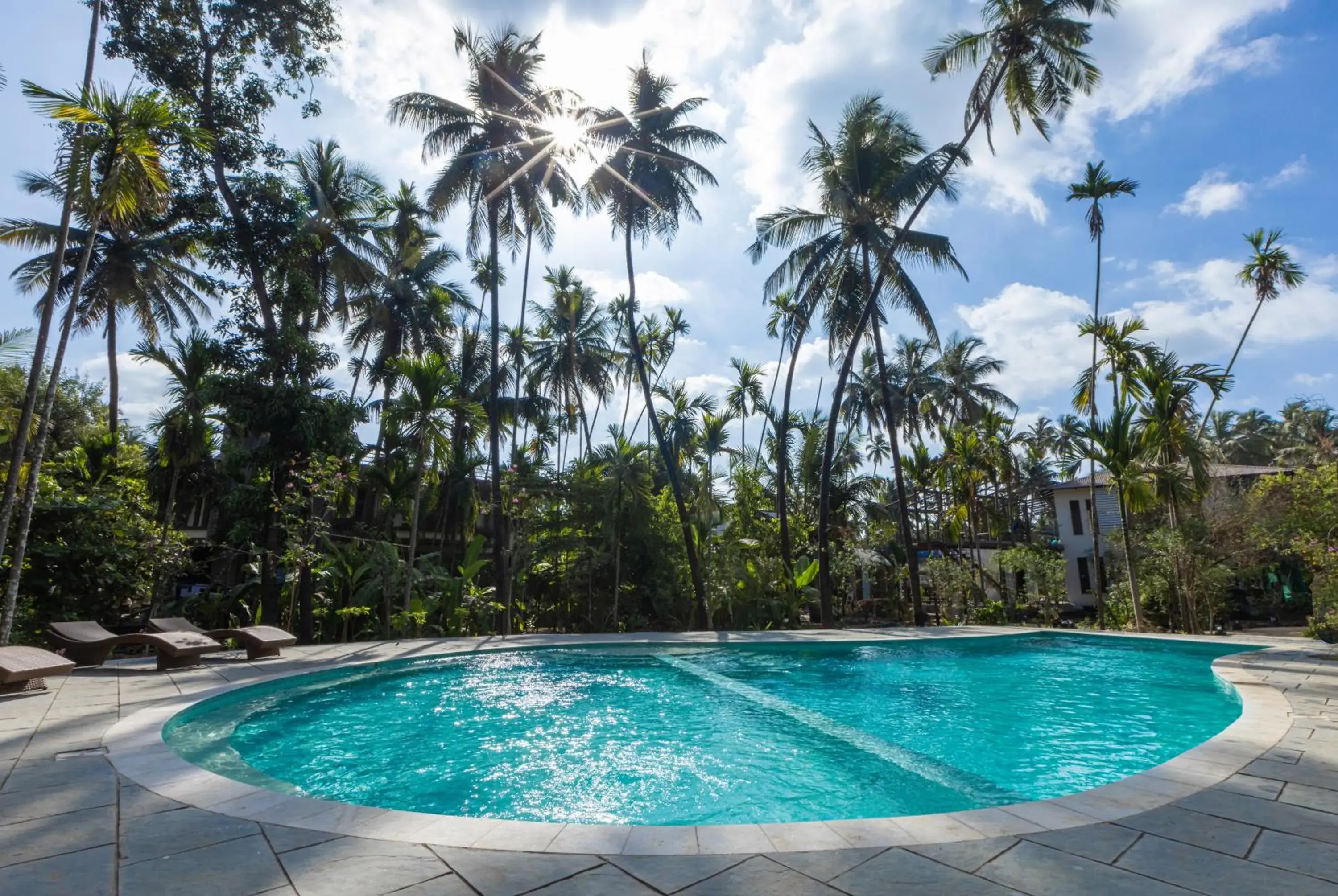 Garden, Swimming Pool in OCEANATURE ALIBAUG