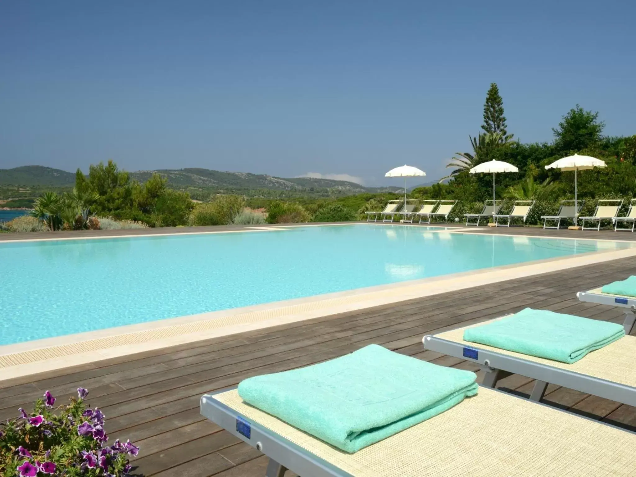 Swimming Pool in Hotel Dei Pini