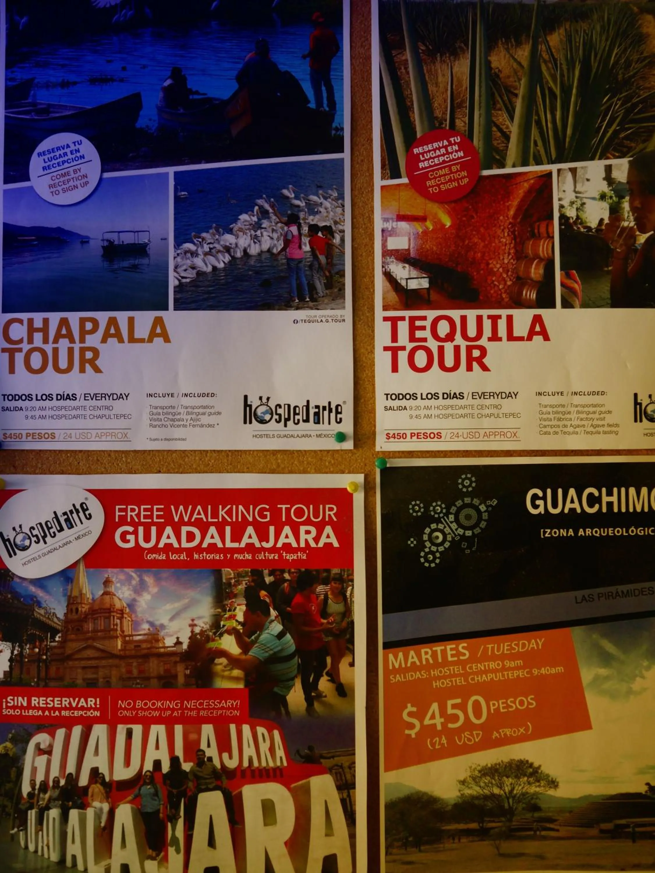 Logo/Certificate/Sign in Hostel Hospedarte Chapultepec