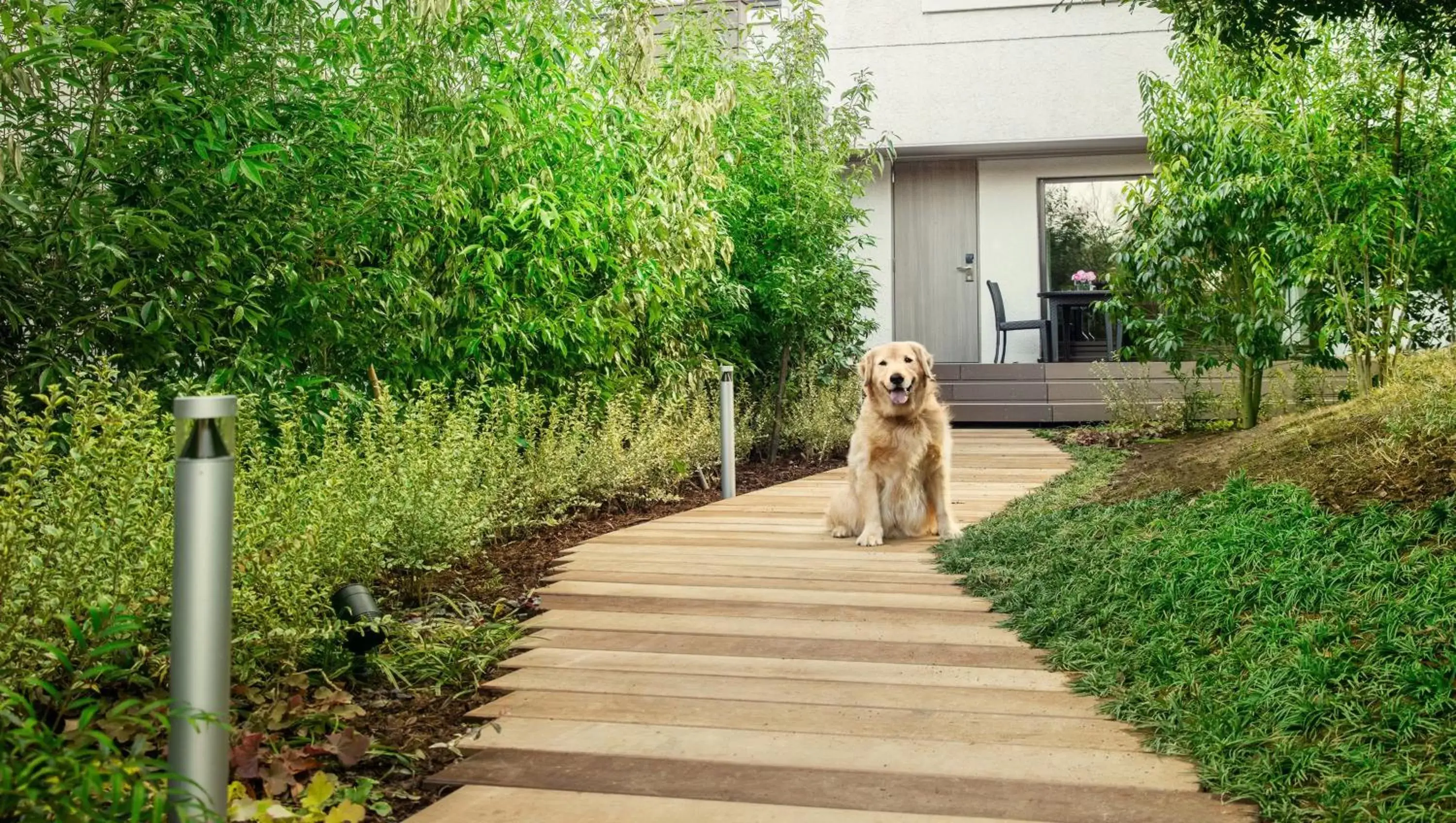 Pets in Izu Marriott Hotel Shuzenji