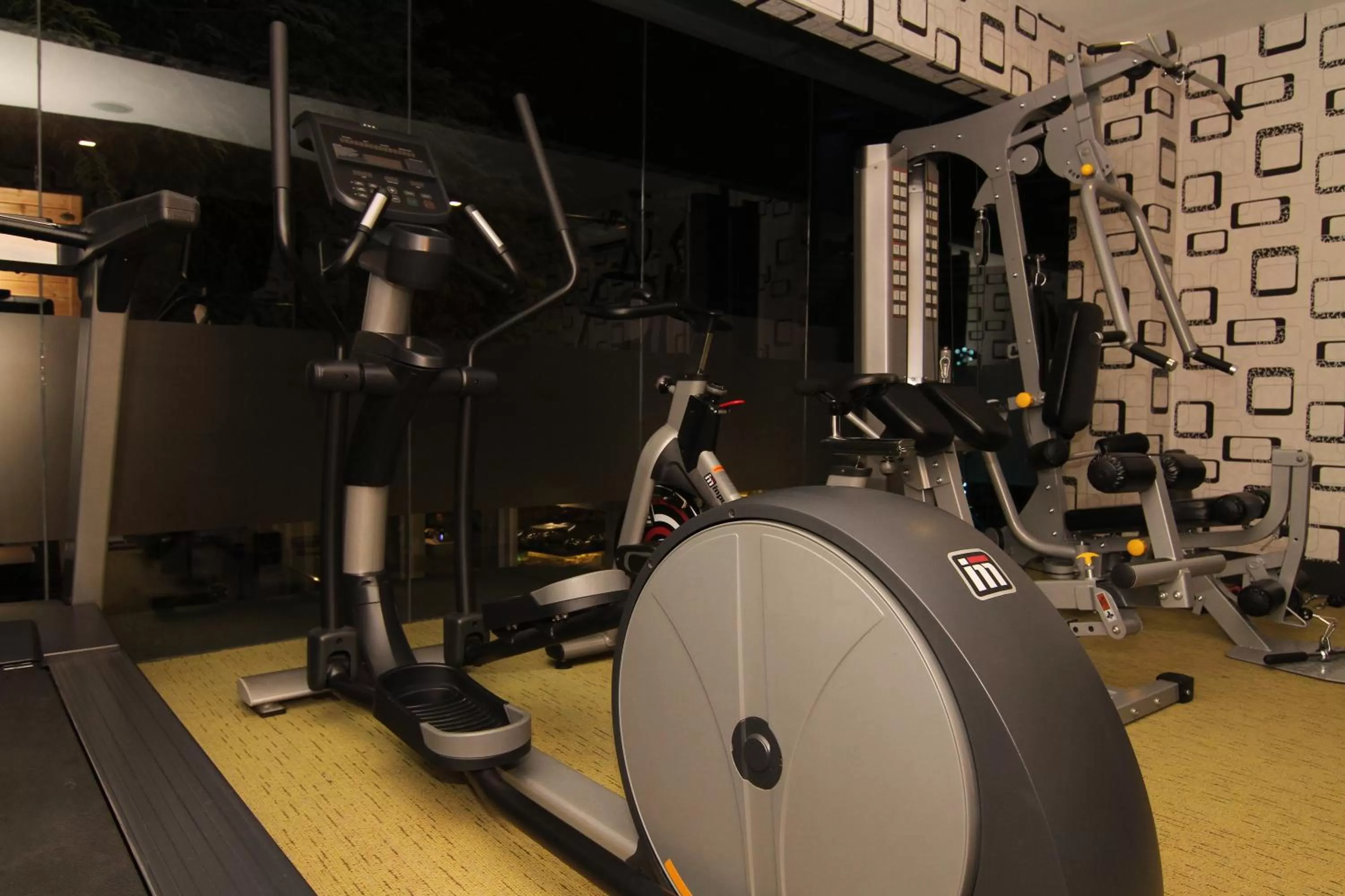 Fitness centre/facilities in Eloisa Royal Suites