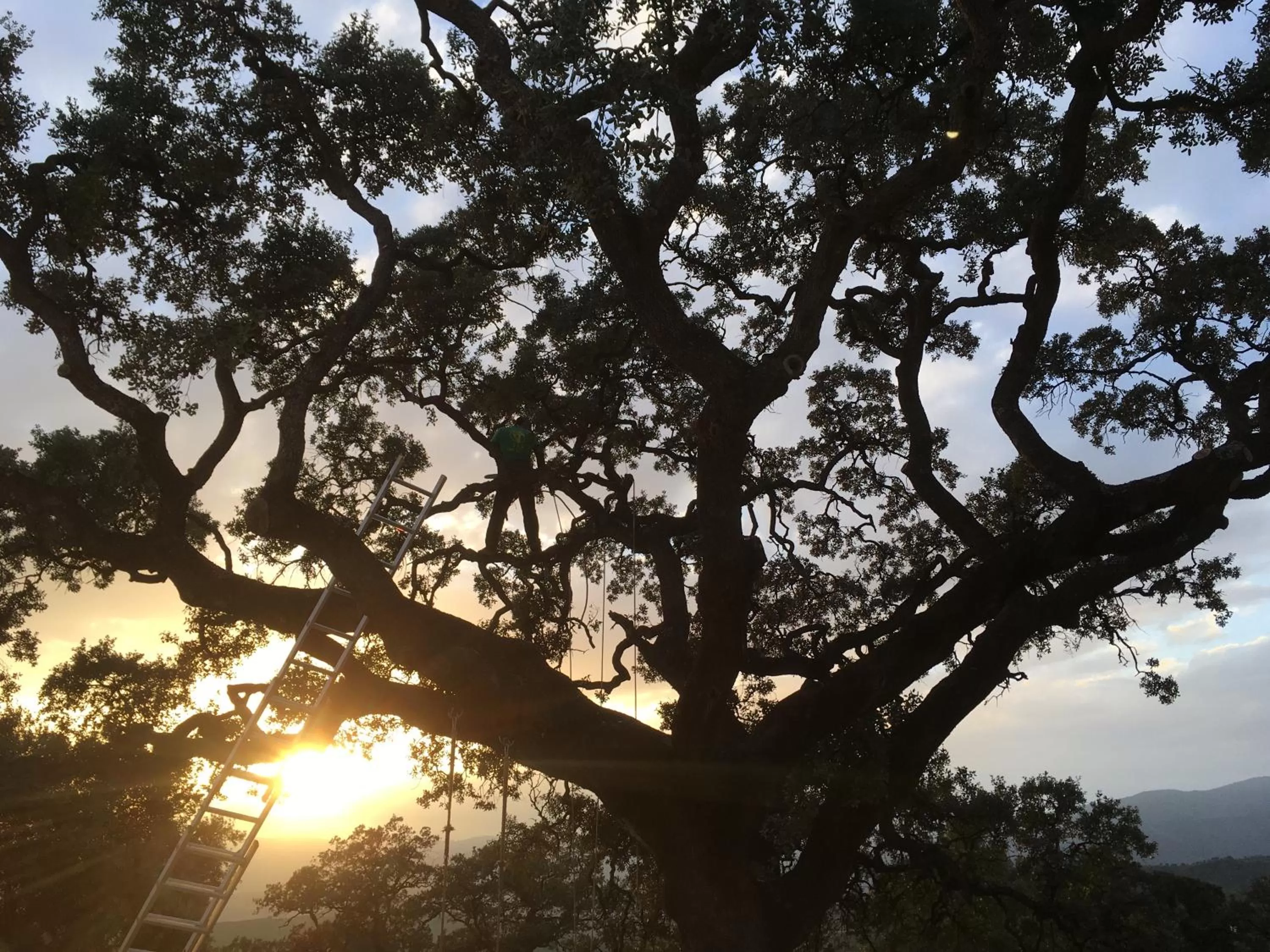 View (from property/room), Sunrise/Sunset in Casa Laibon