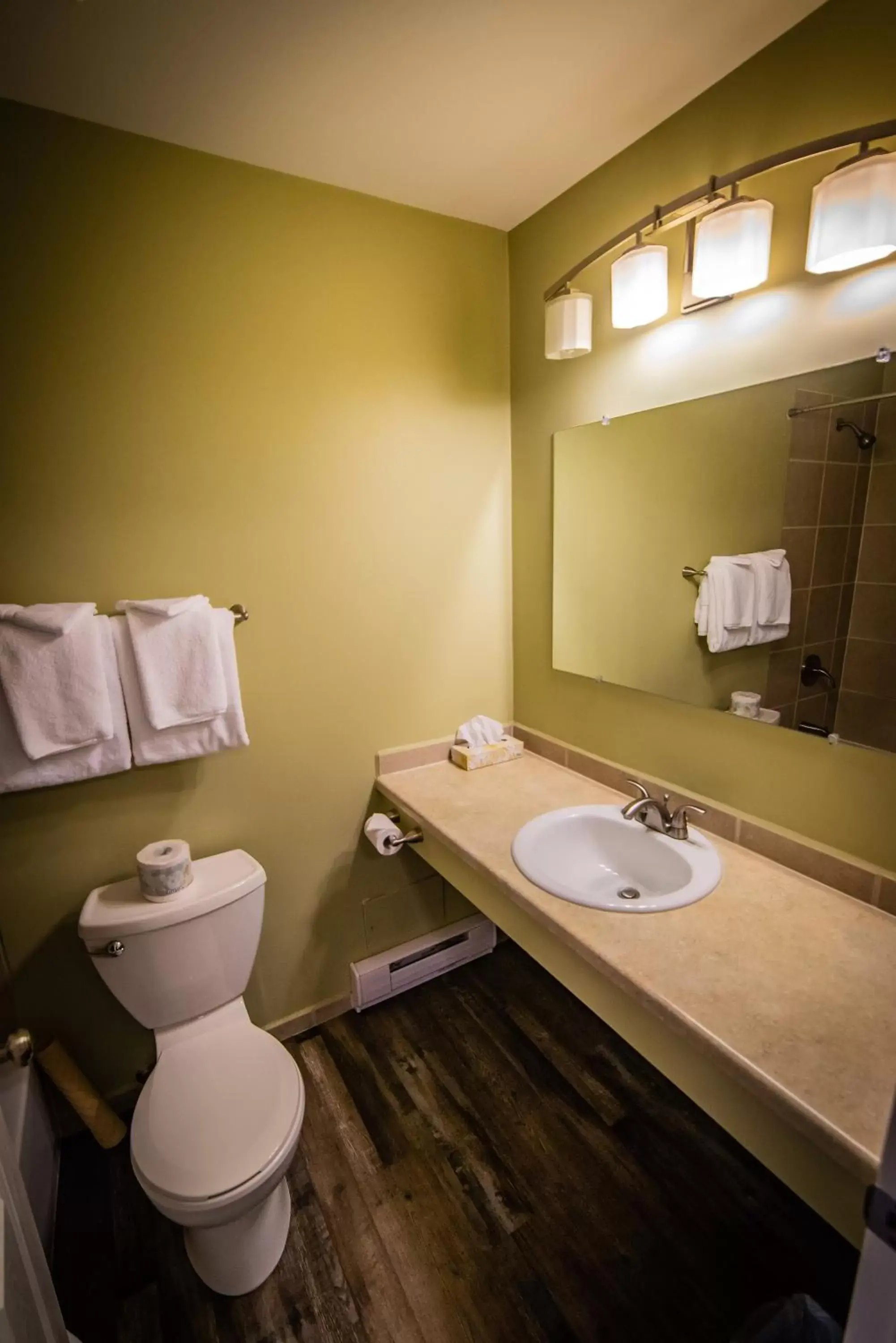 Bathroom in Alpine Inn & Suites