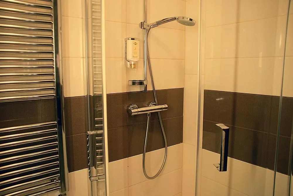 Bathroom in Hotel Opara