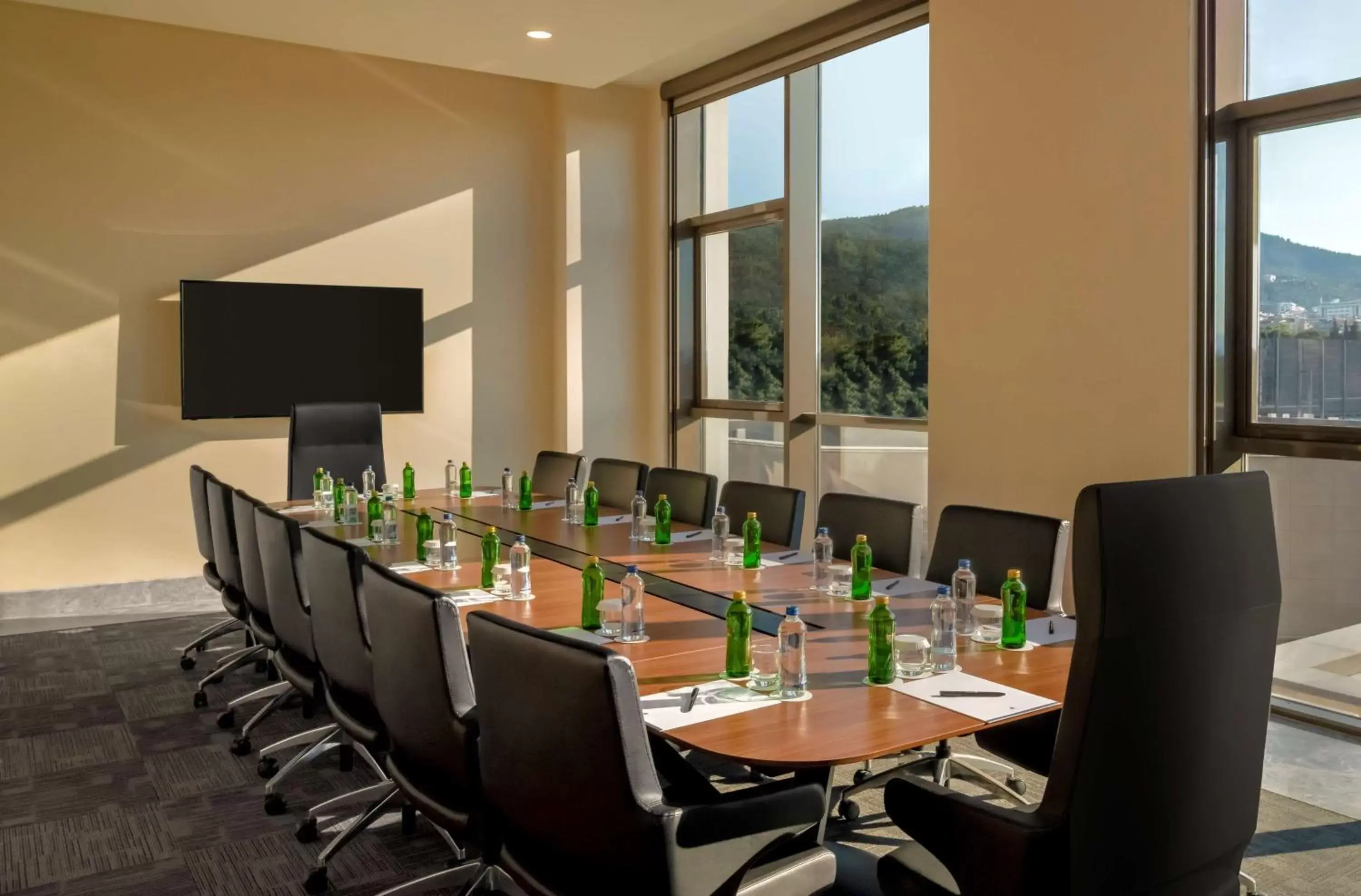 Meeting/conference room in DoubleTree by Hilton Manisa