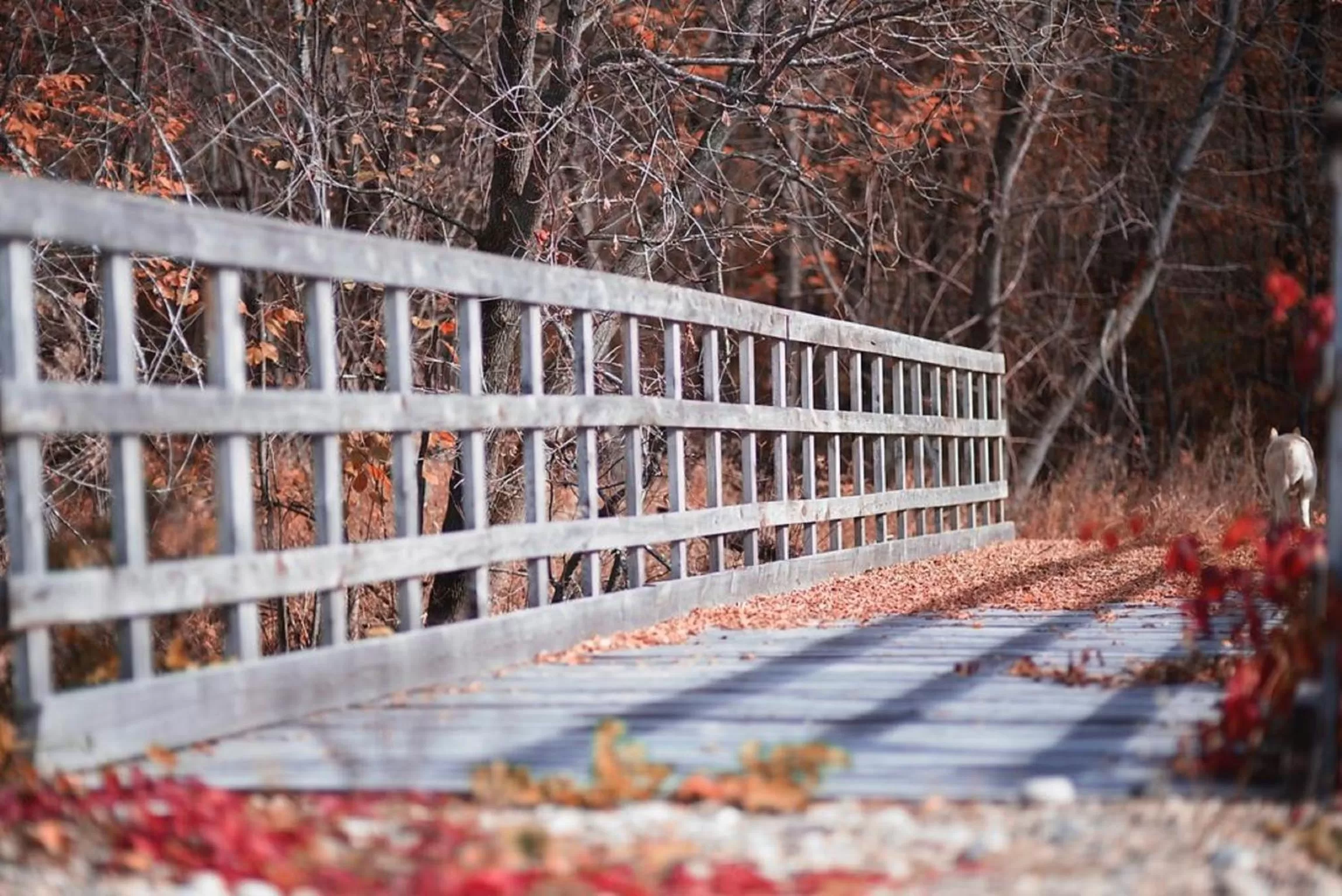 Property Building in Gite O'bordeleau
