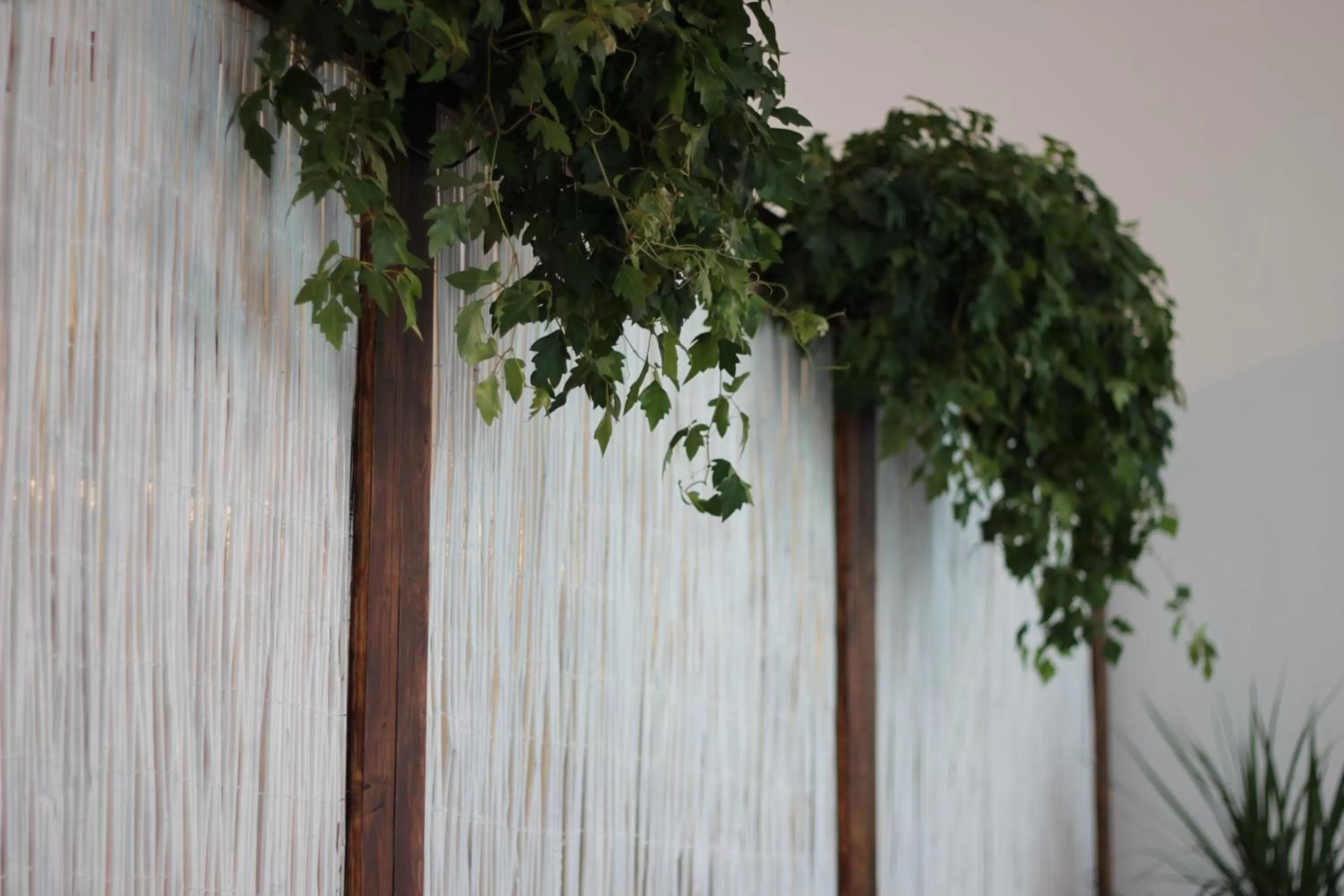 Living room in B&B Gallidoro