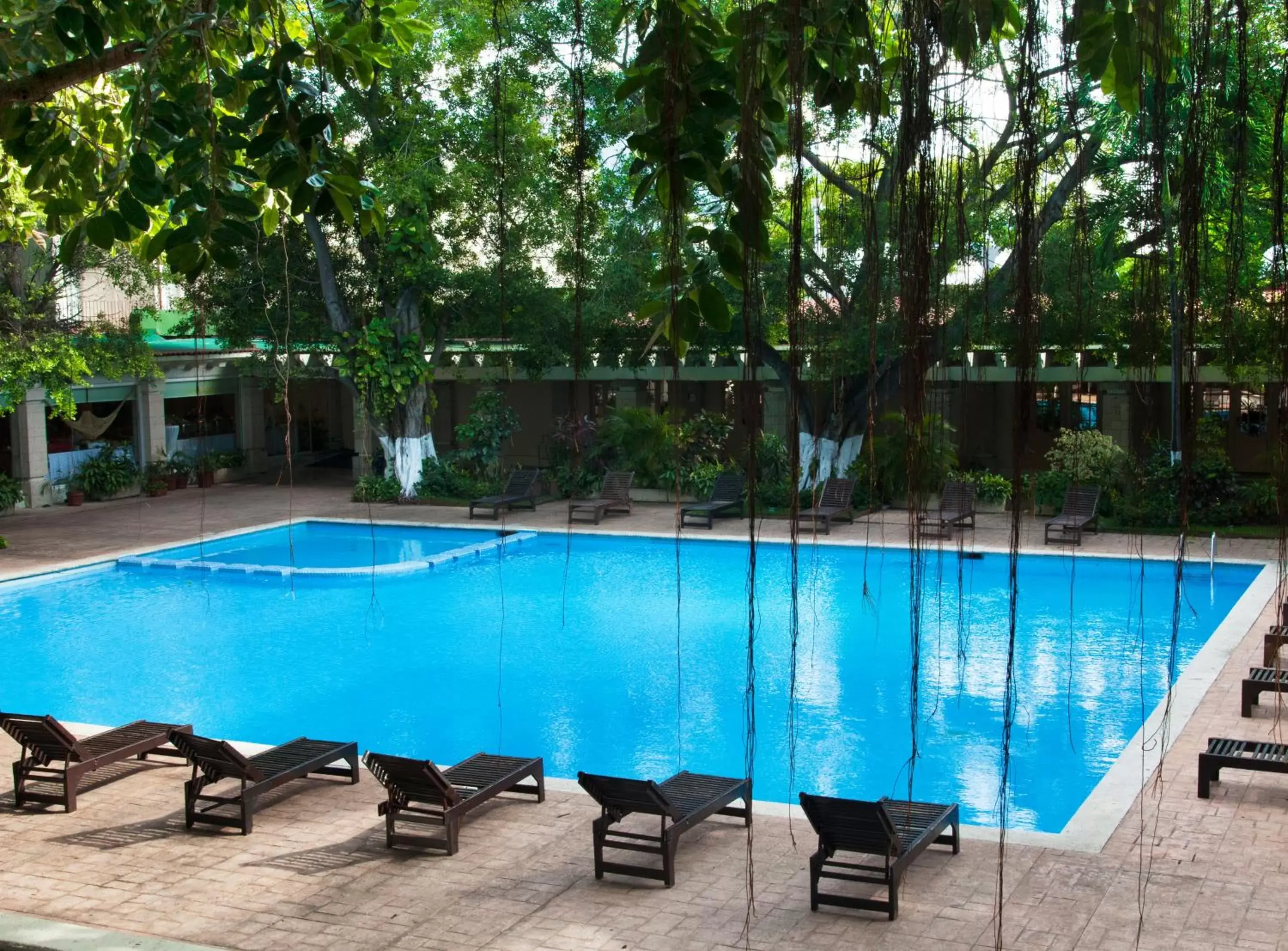 Swimming Pool in Hotel Viva Villahermosa