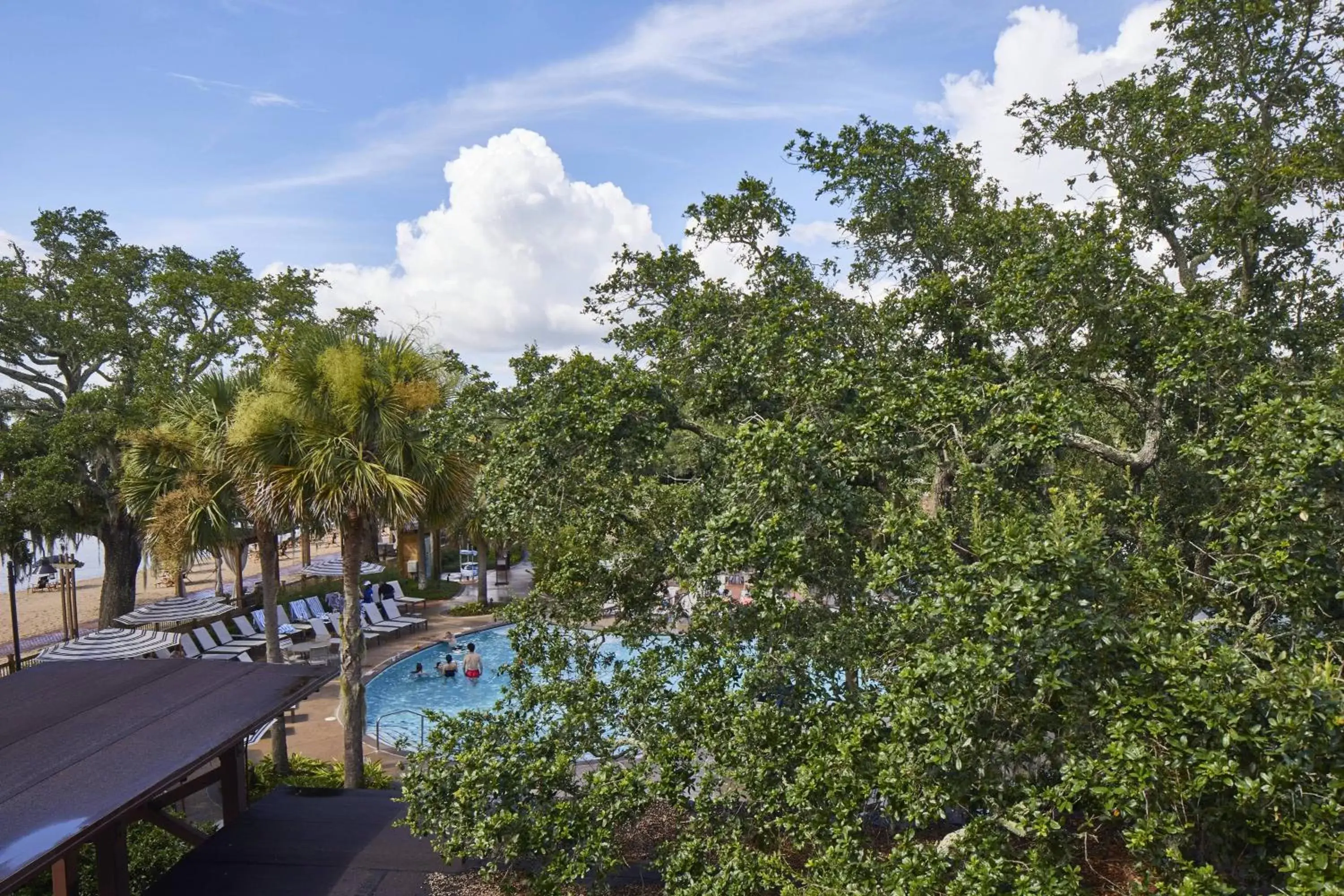 Swimming pool, Pool View in The Grand Hotel Golf Resort & Spa, Autograph Collection