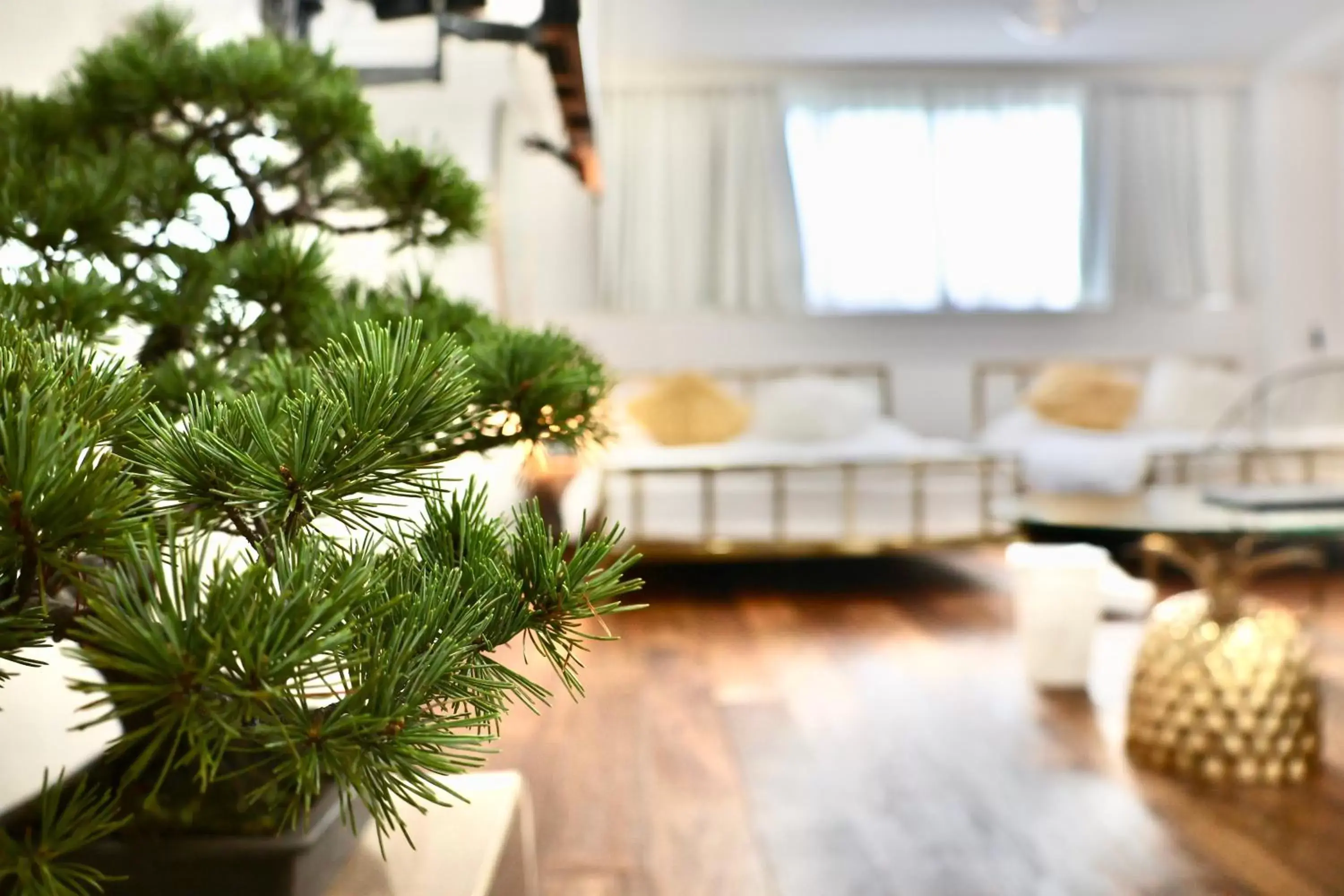 Living room in THE ROOT2 HOTEL