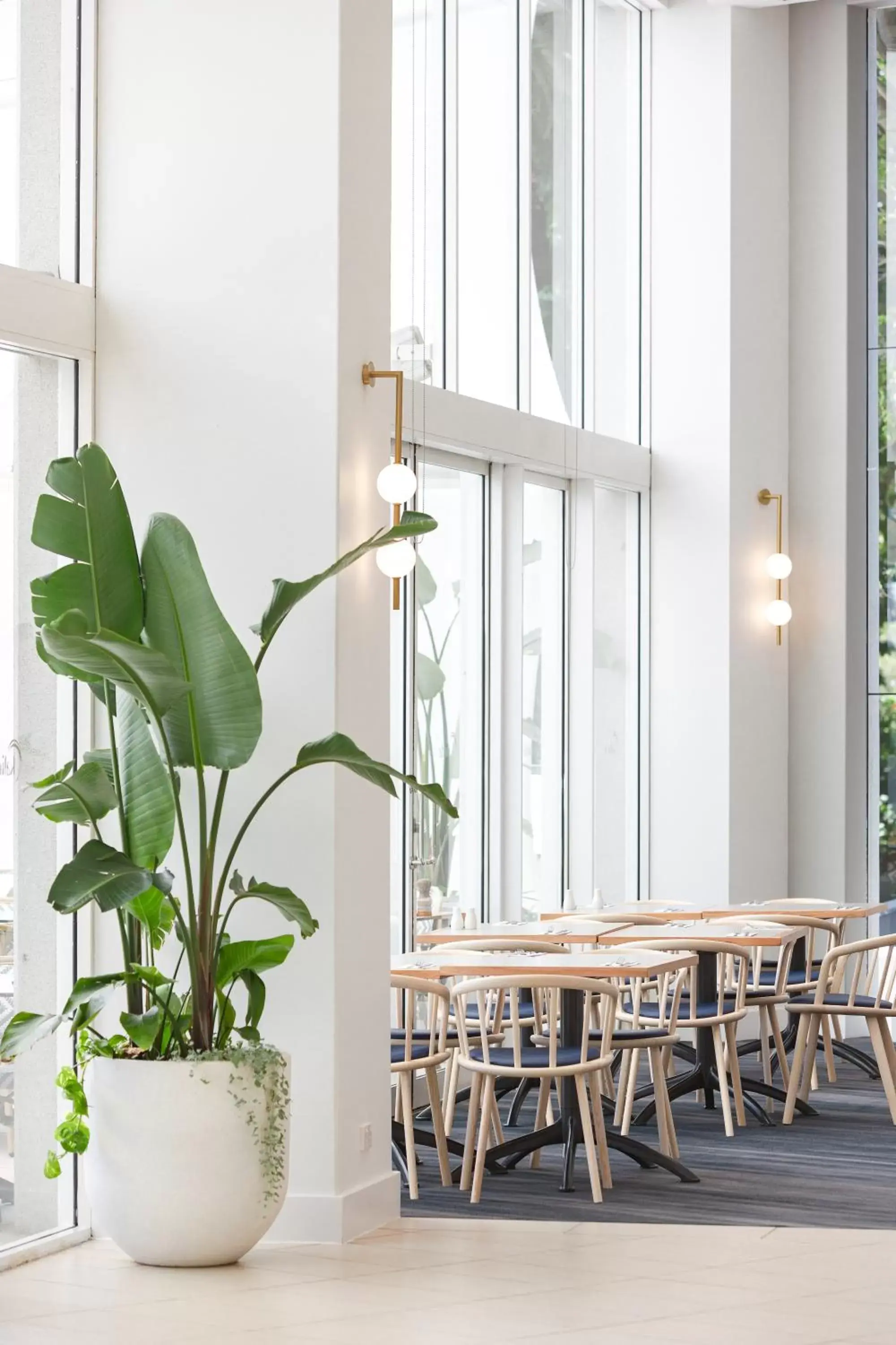 Restaurant/places to eat in RACV Royal Pines Resort Gold Coast Restaurant/places to eat in RACV Royal Pines Resort Gold Coast