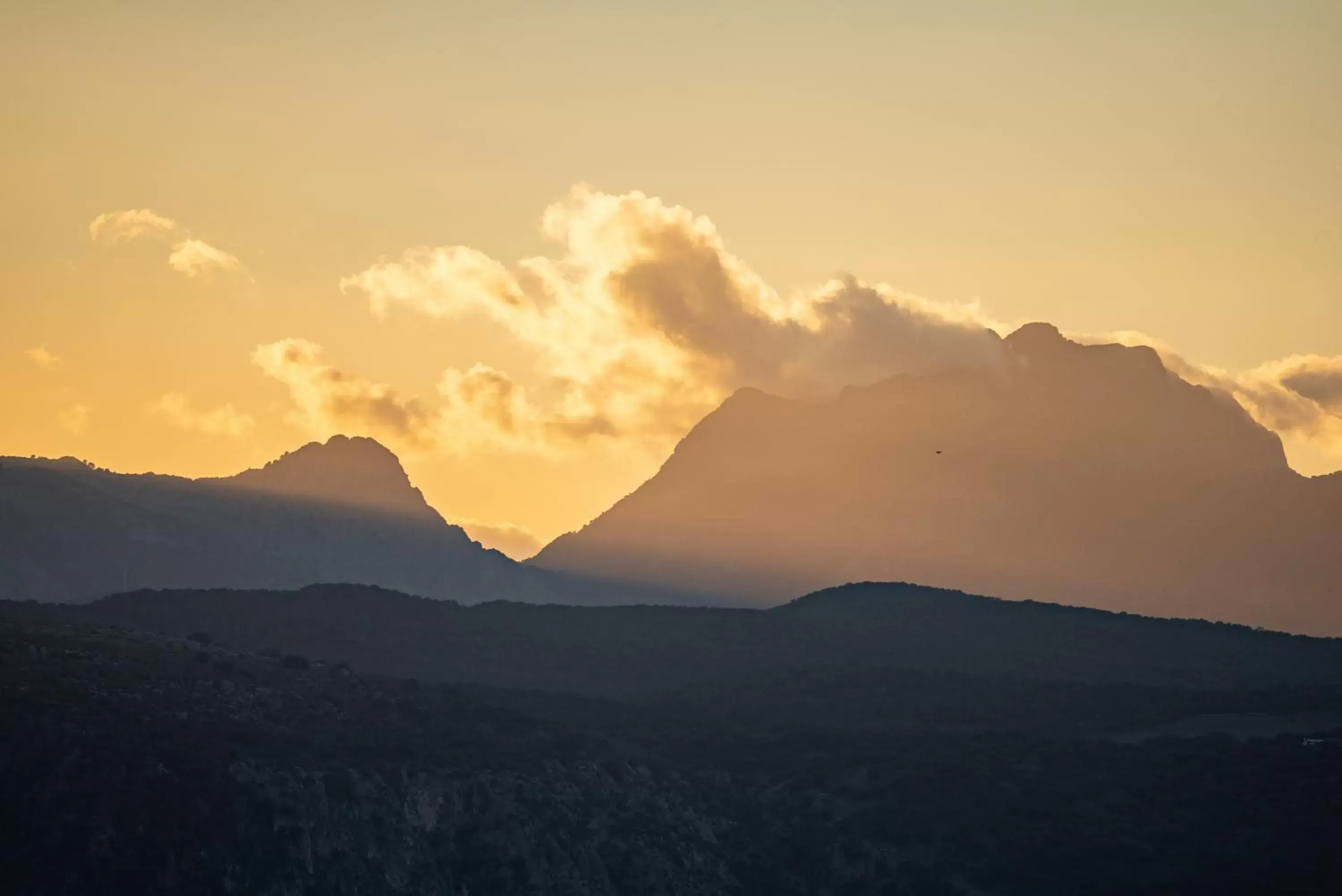 Mountain View in Cortijo LA Organic