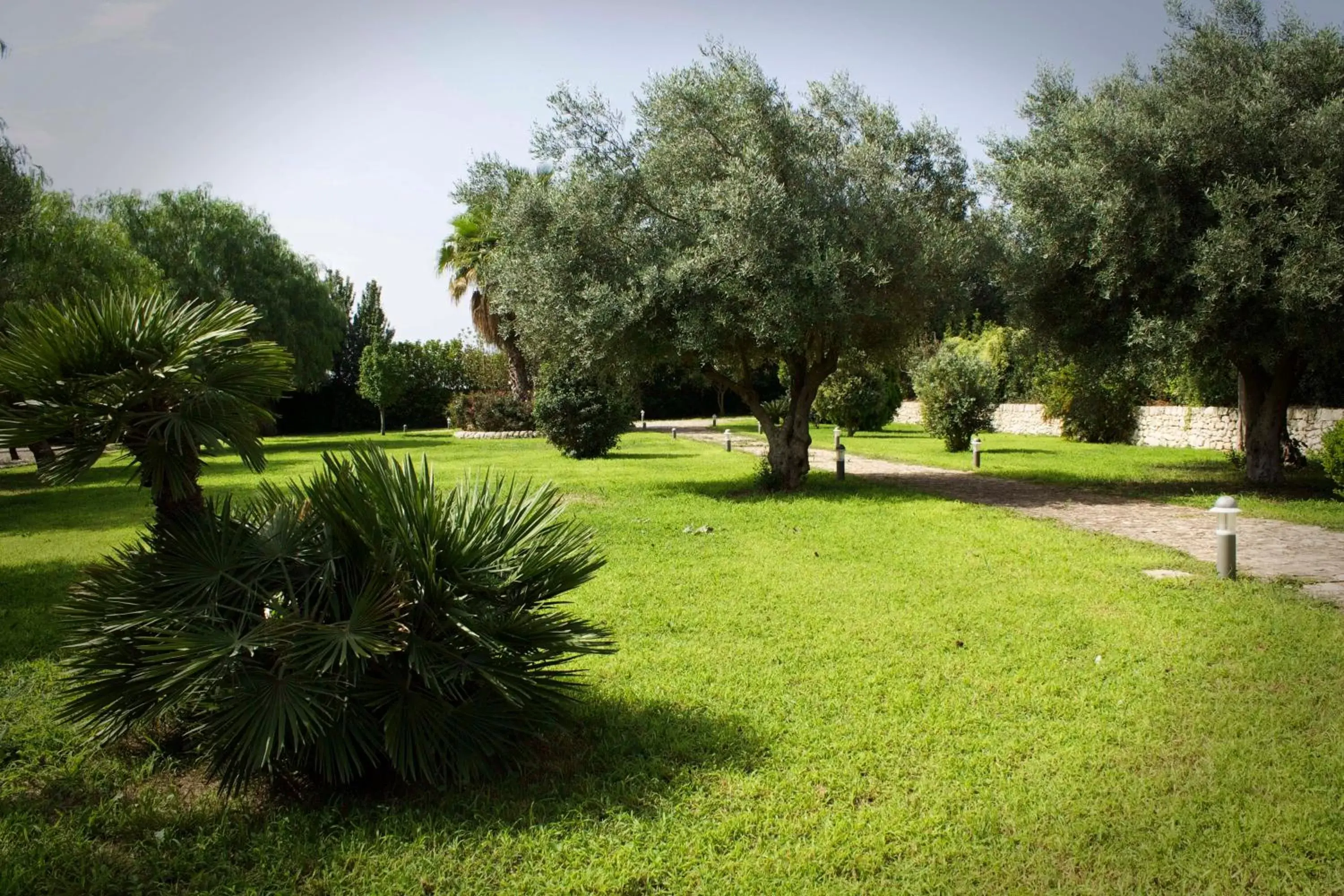 Garden in Villa Teresa