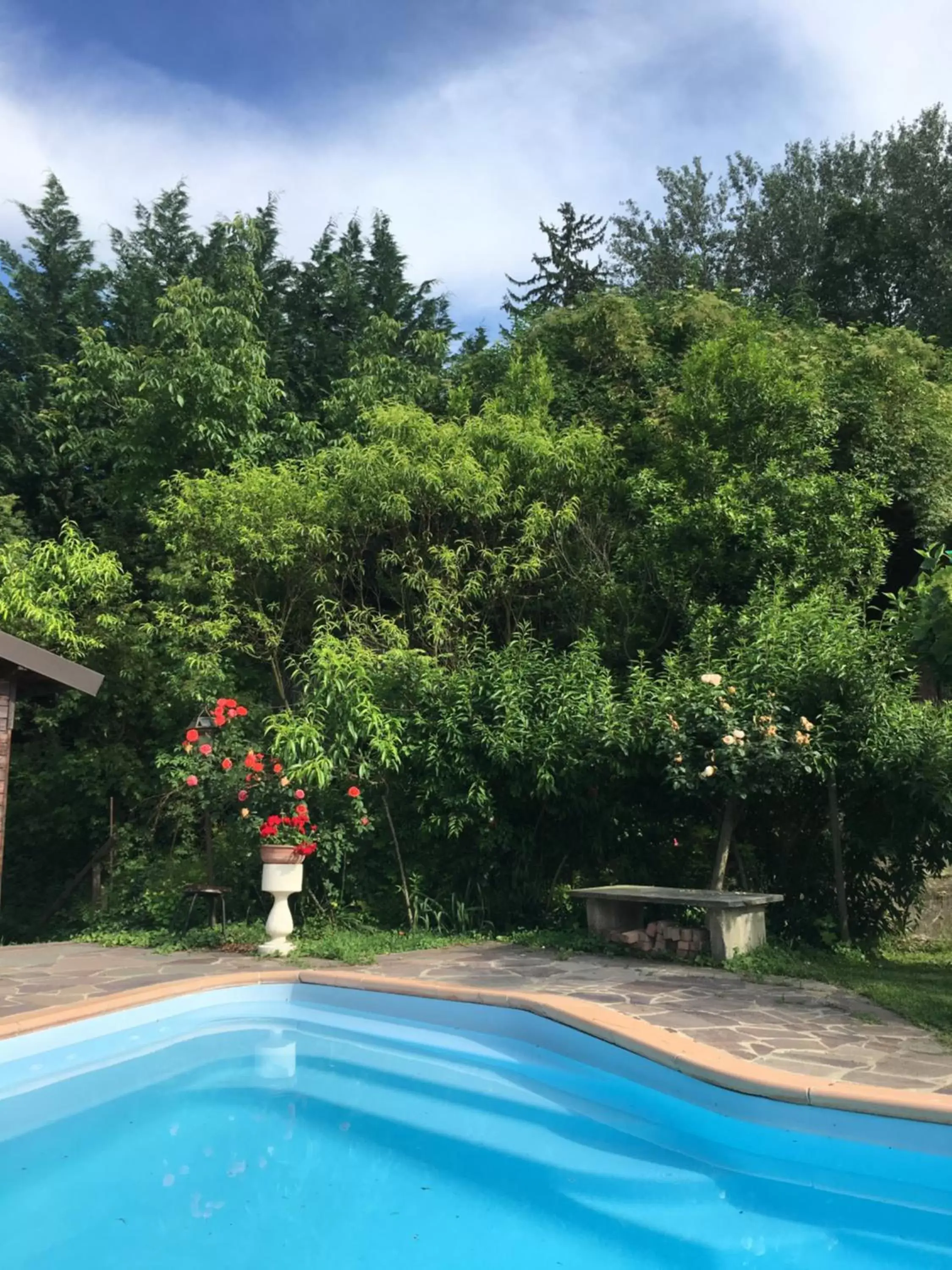 Garden, Swimming Pool in B&B La Villarella dei Tulipani