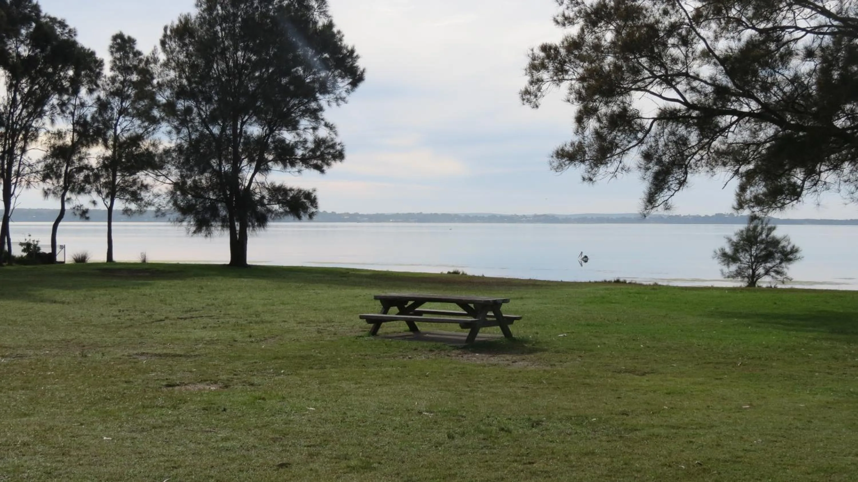 Day in Bridge View Motel