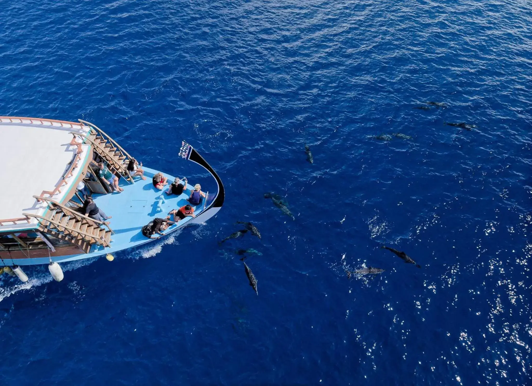 Day, Bird's-eye View in Canareef Resort Maldives