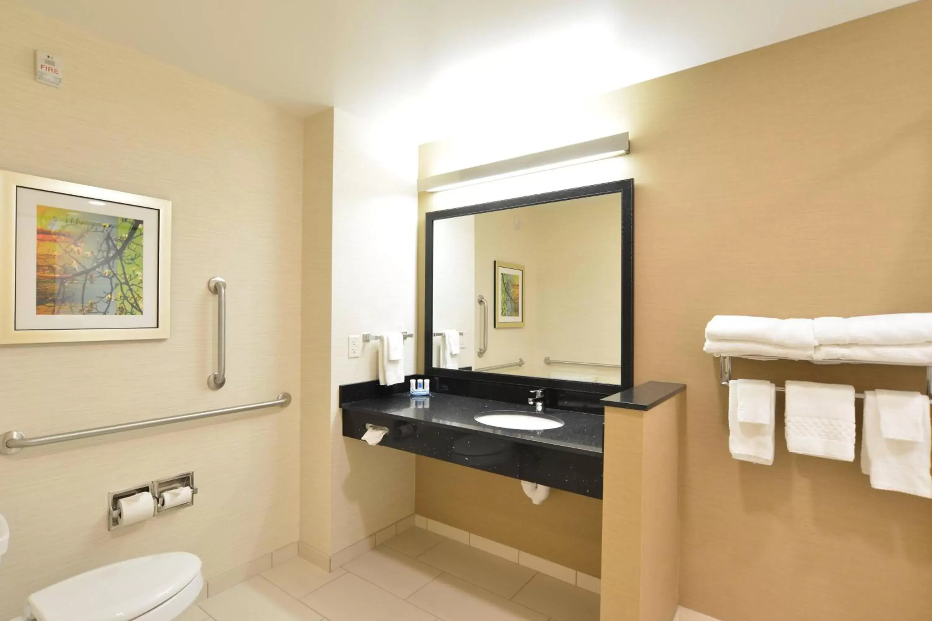 Bathroom in Fairfield Inn & Suites by Marriott Eau Claire/Chippewa Falls