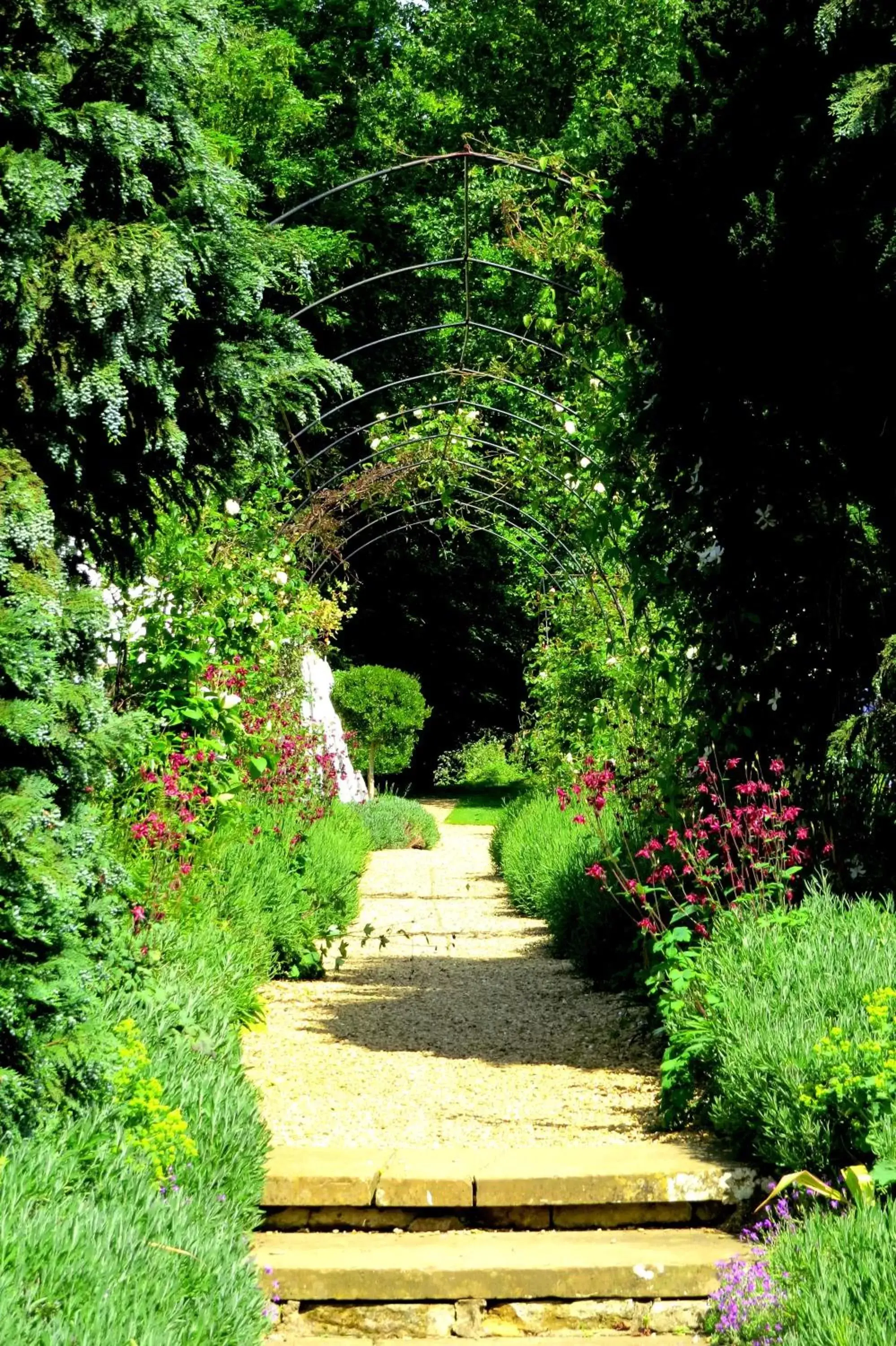 Garden in The William Cecil