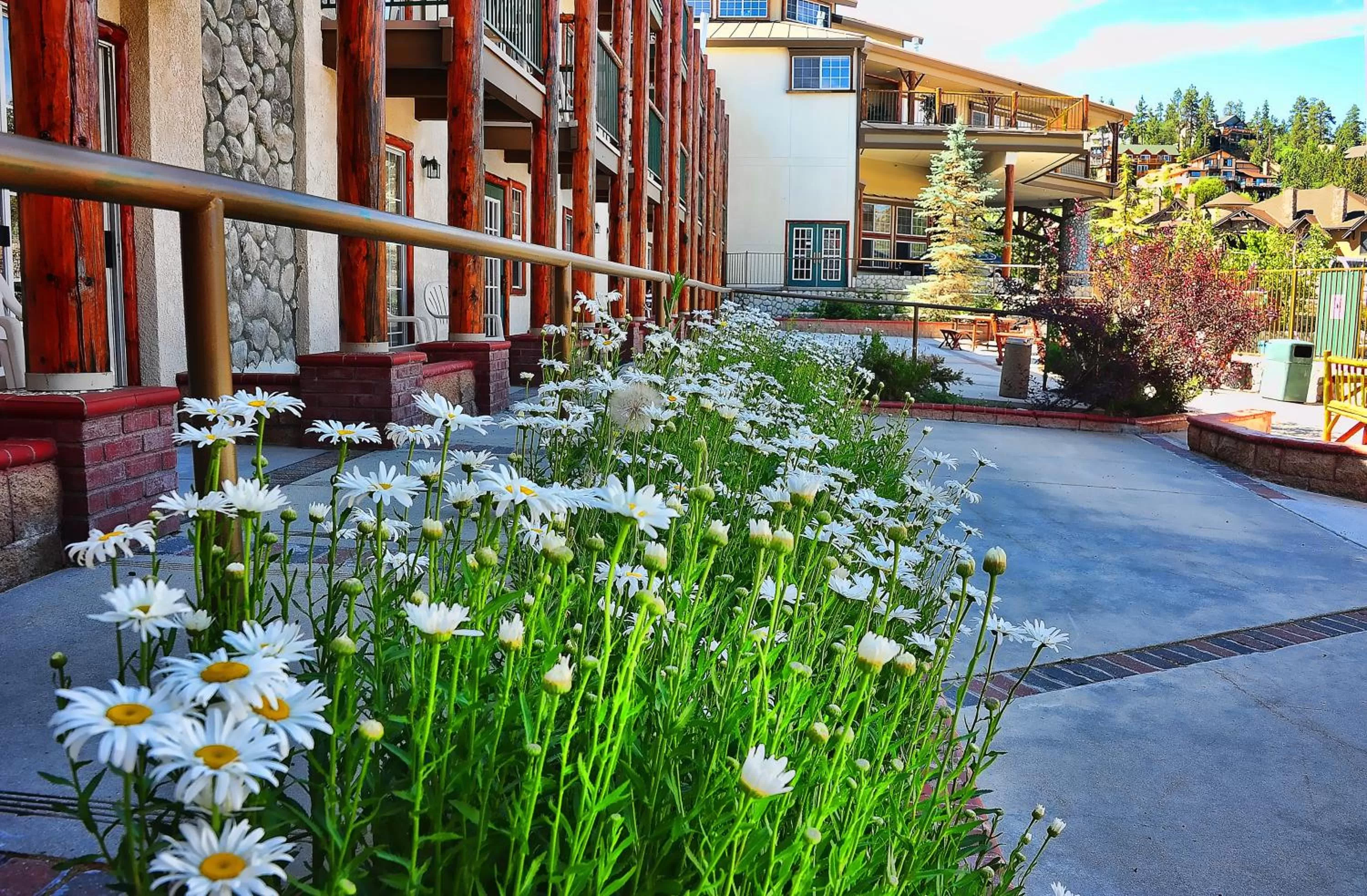 Property building in Holiday Inn Resort The Lodge at Big Bear Lake by IHG