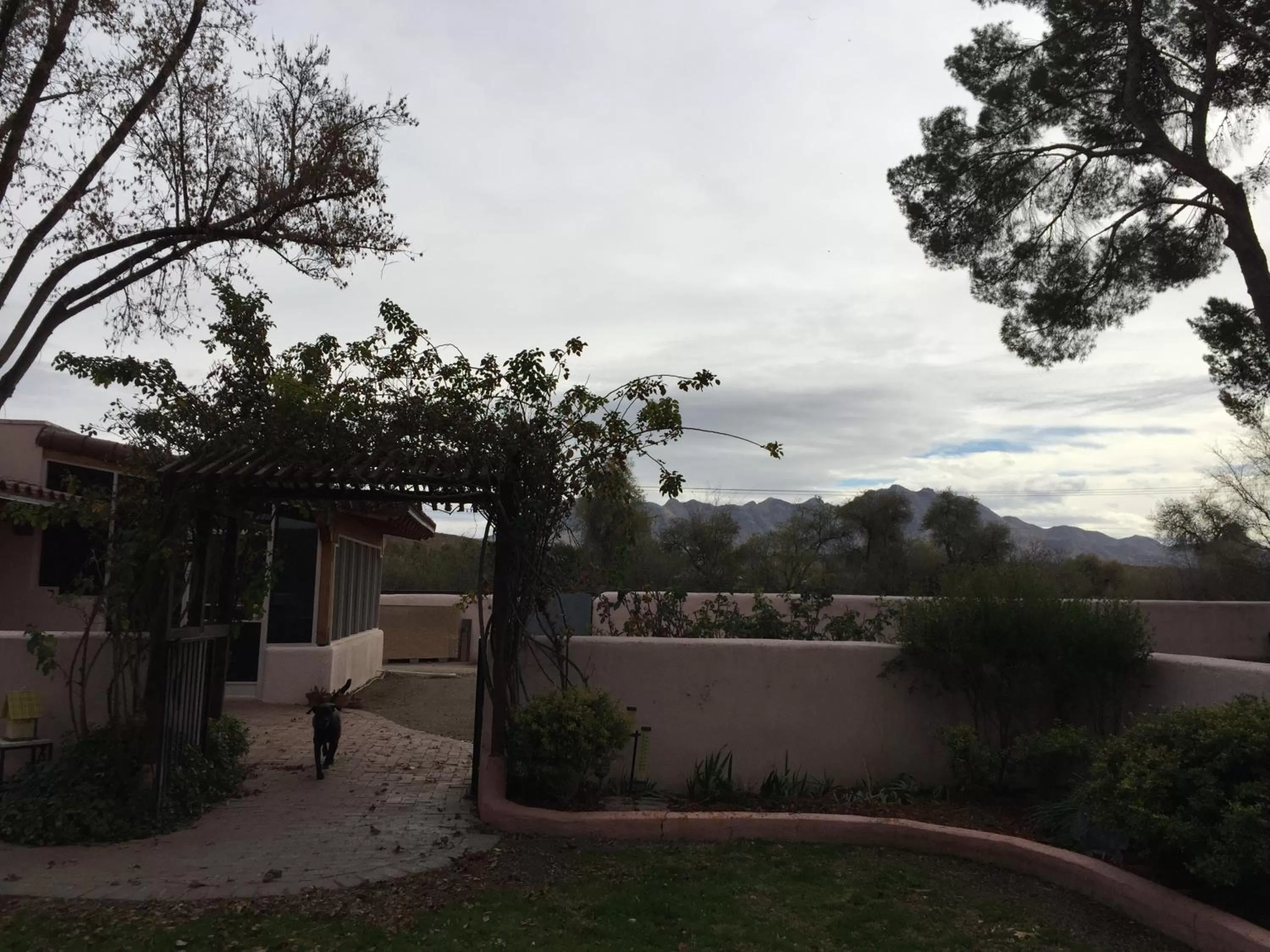 Mountain view in Casa Paloma B&B