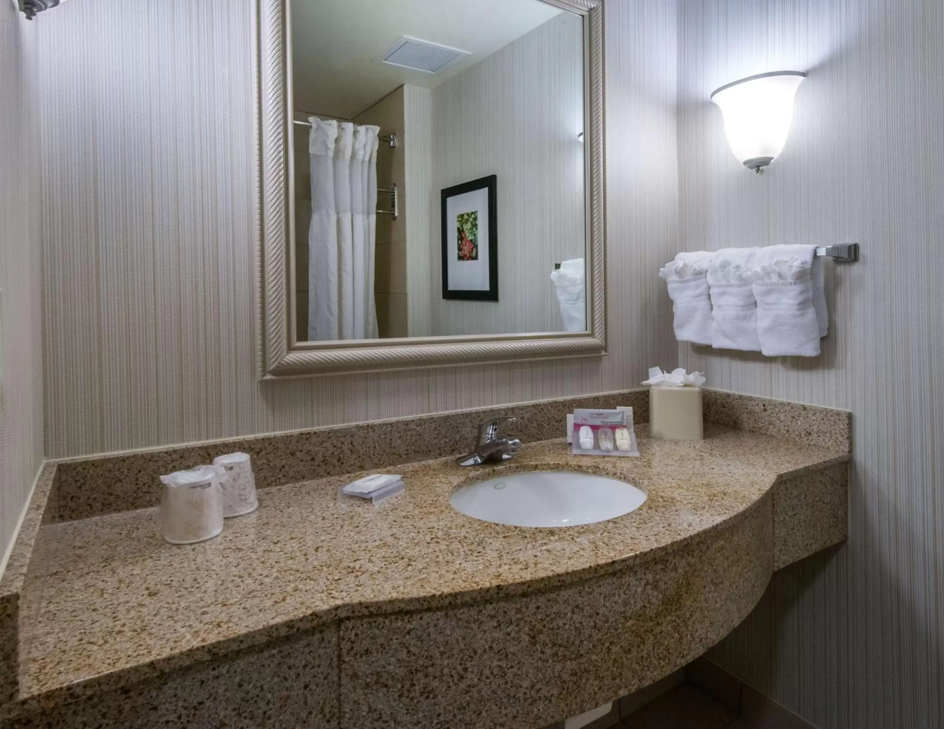 Bathroom in Hilton Garden Inn Tallahassee Central