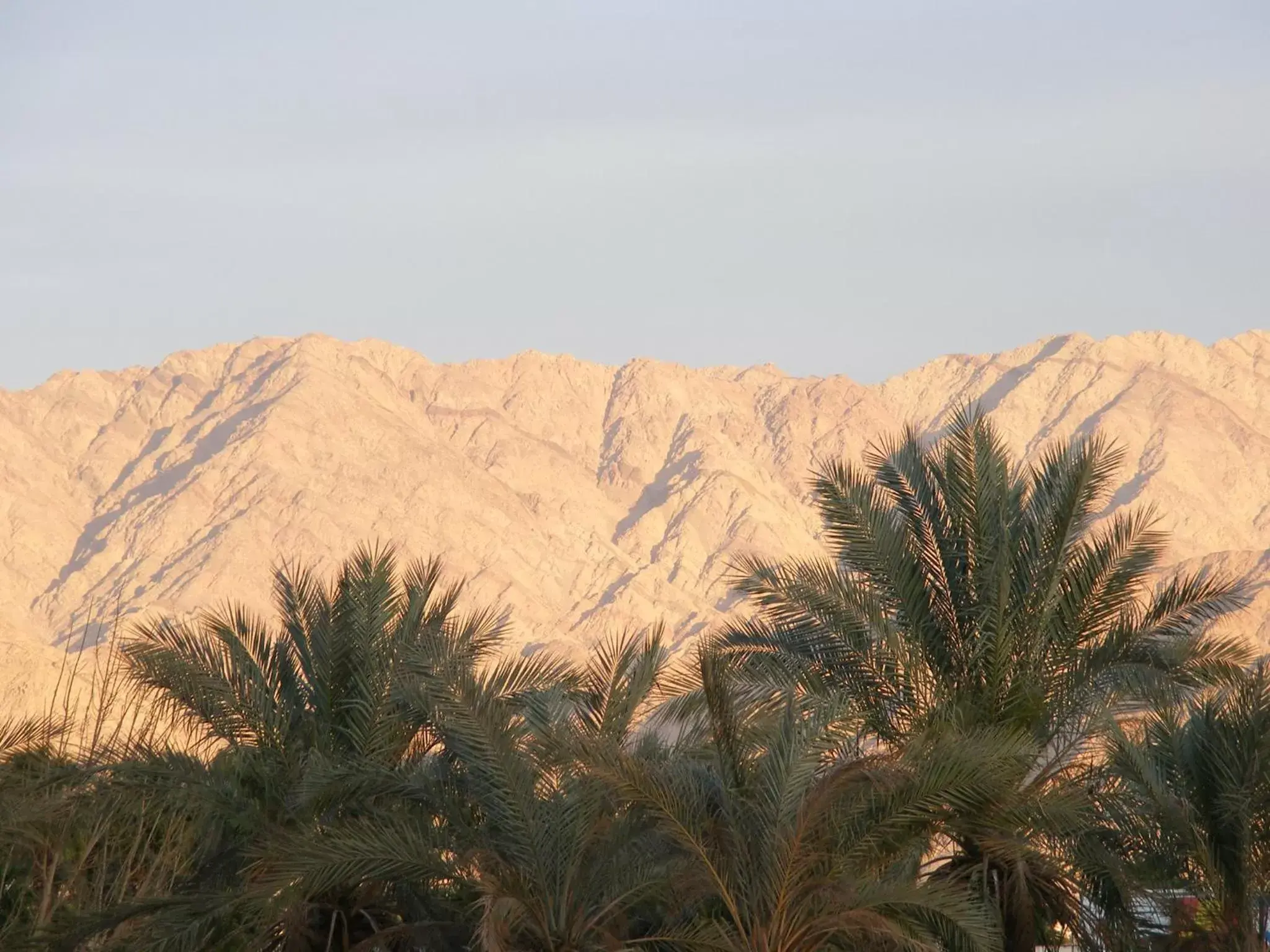 Area and facilities, Mountain View in Dan Eilat Hotel