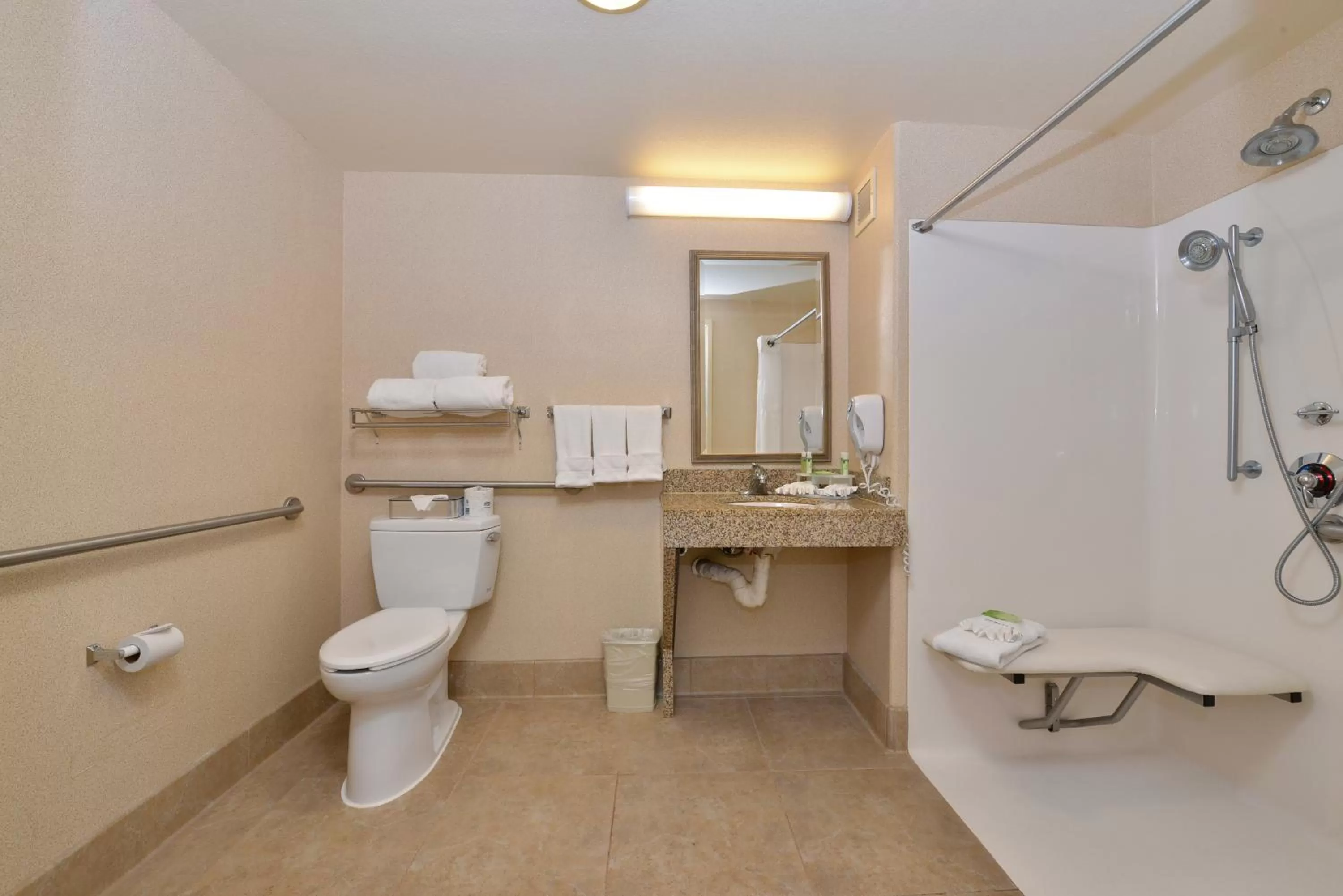 King Room - Disability Access in Holiday Inn Express Hotel & Suites Lincoln-Roseville Area, an IHG Hotel