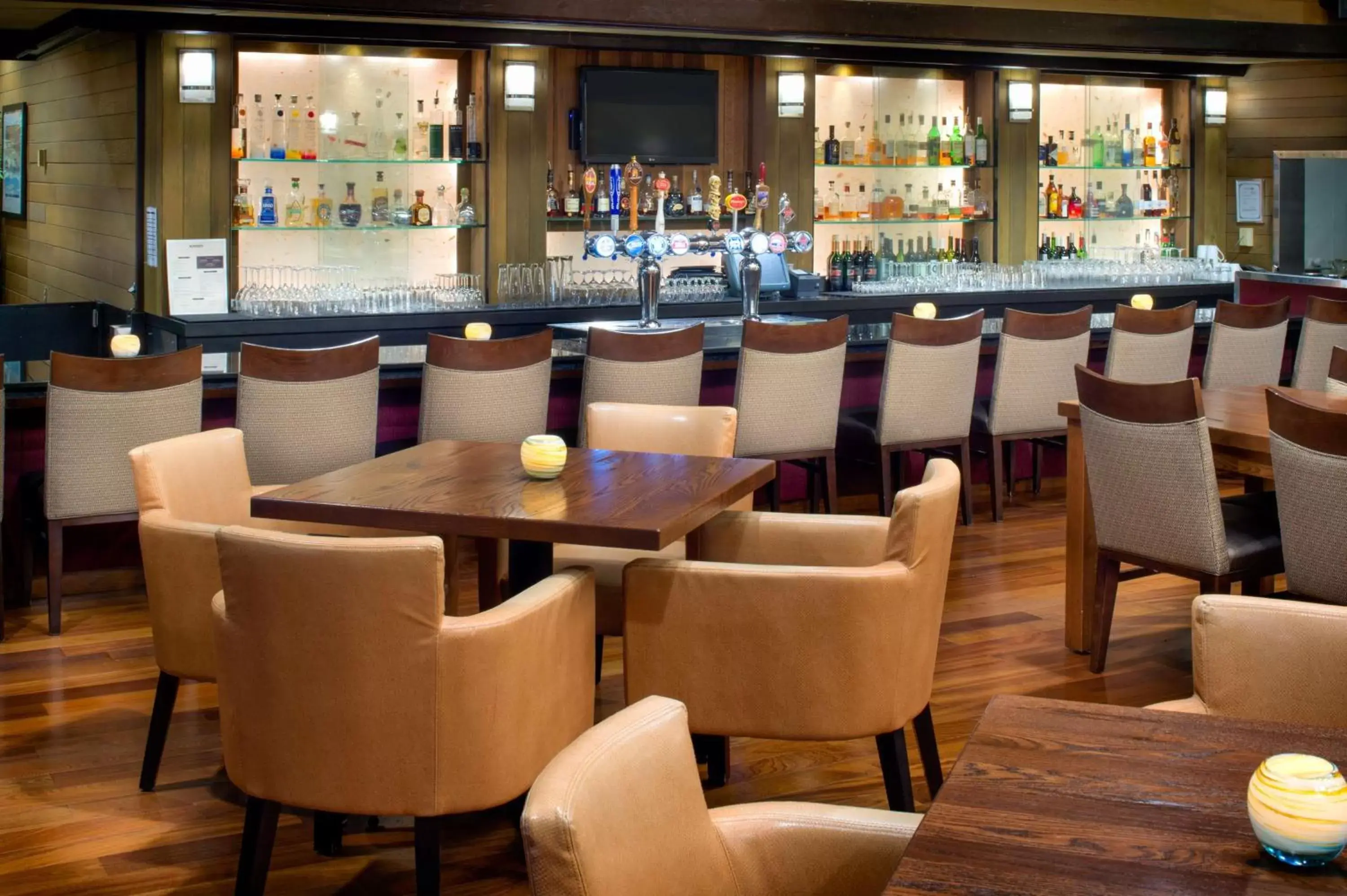Lounge or bar, Lounge/Bar in DoubleTree by Hilton Seattle Airport