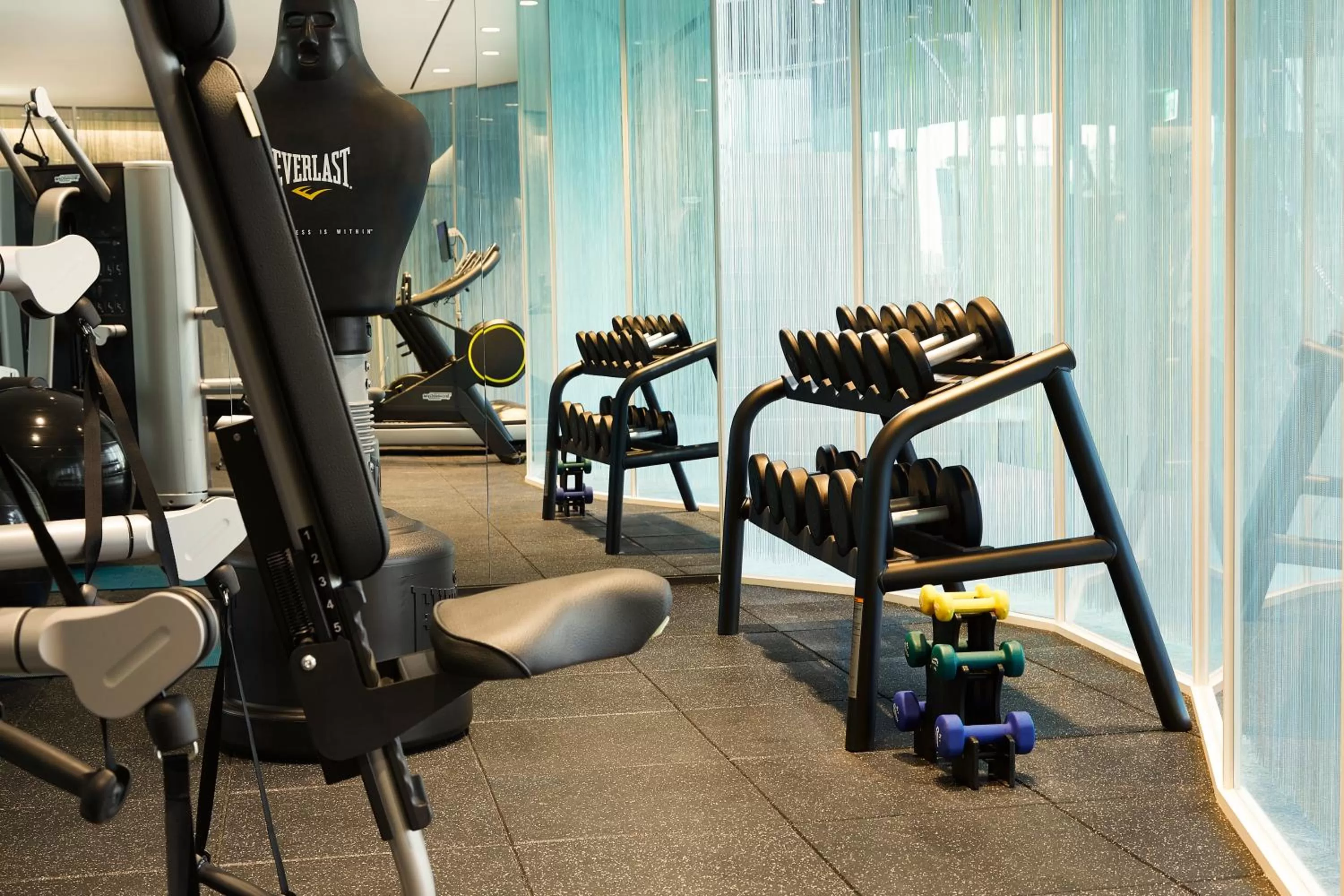 Fitness centre/facilities in L7 GANGNAM by LOTTE HOTELS
