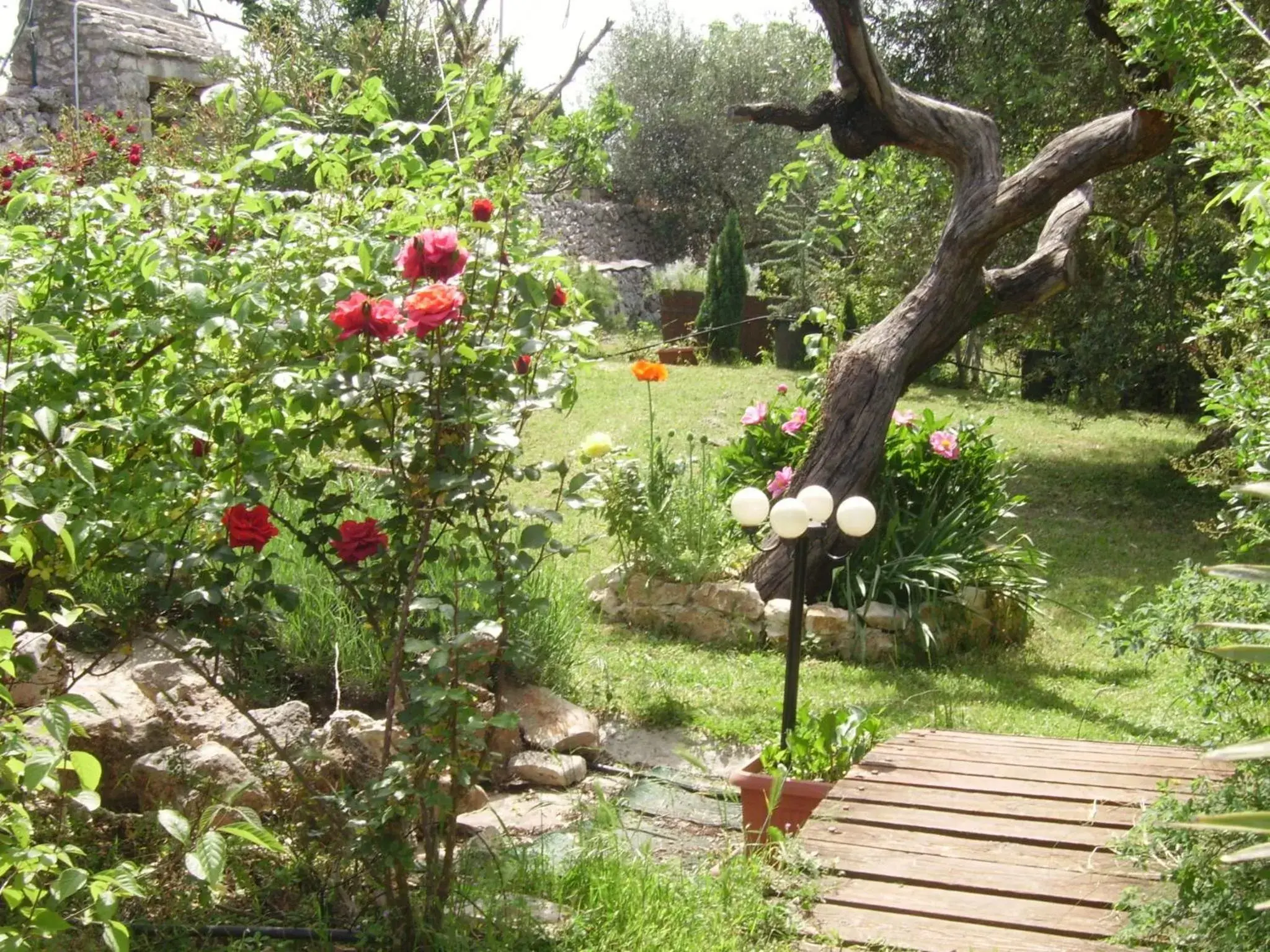 Garden in La Cascata