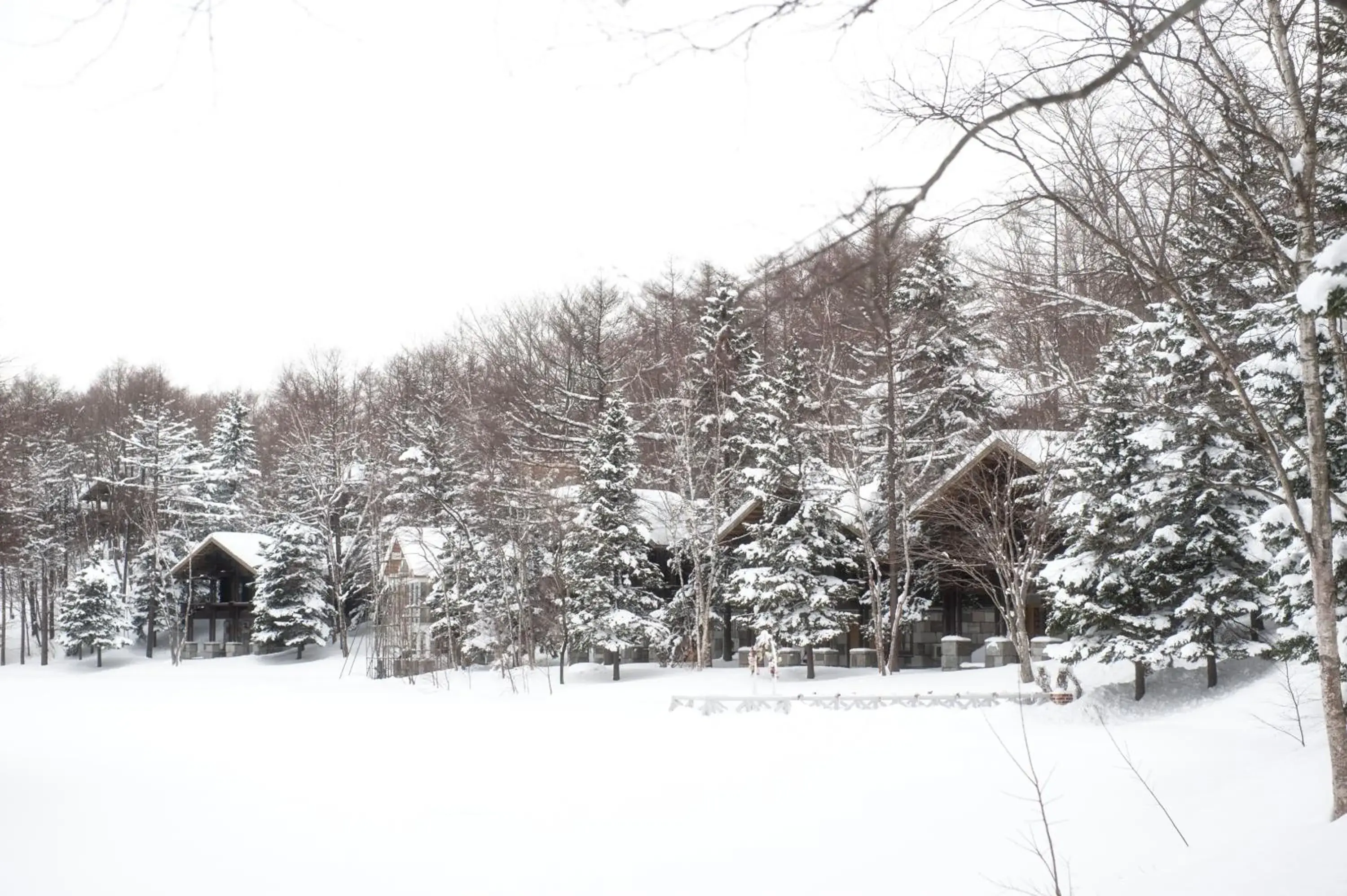 Facade/entrance, Winter in Hotel Nidom