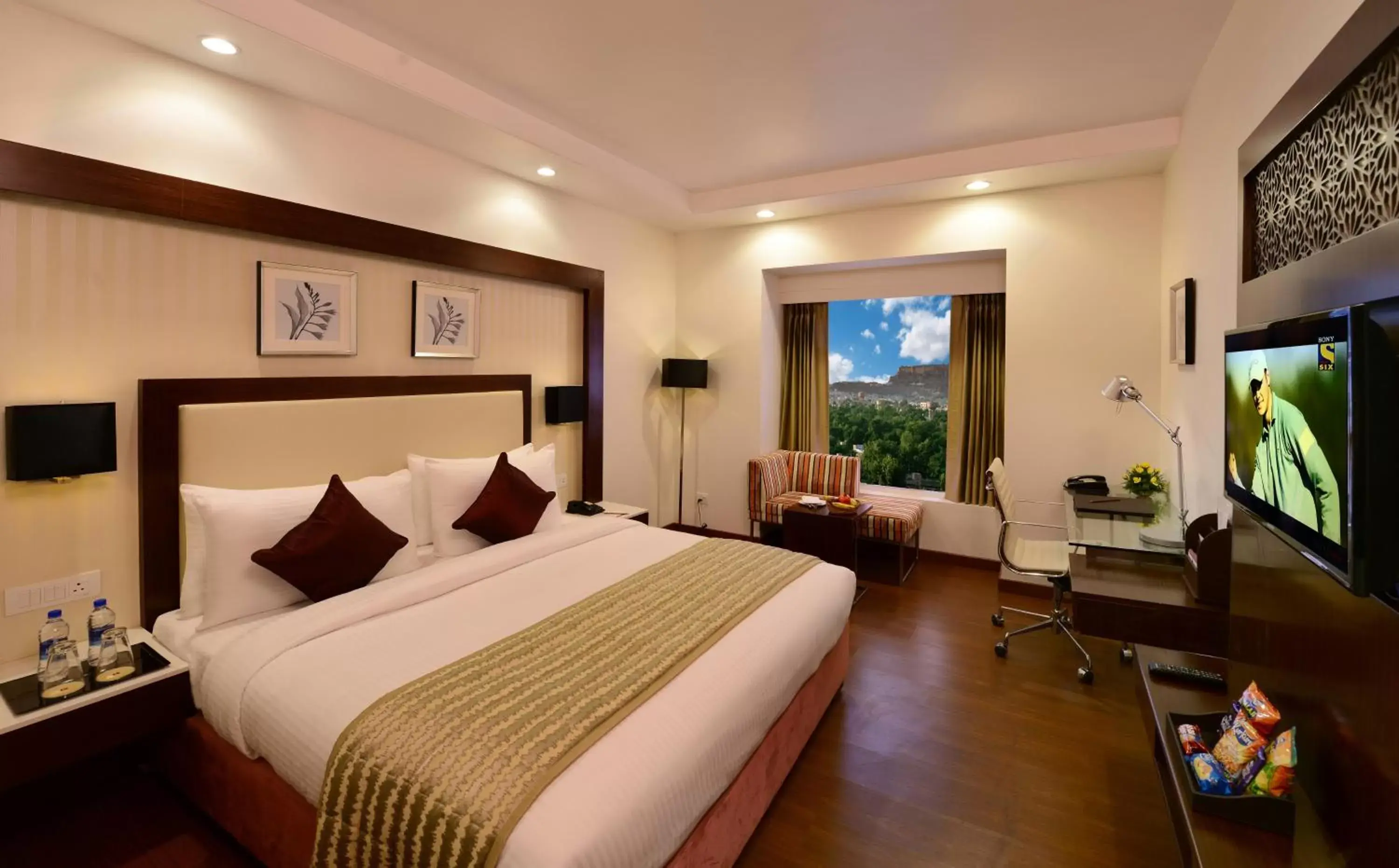 Photo of the whole room, Bed in Lords Inn Jodhpur Photo of the whole room, Bed in Lords Inn Jodhpur