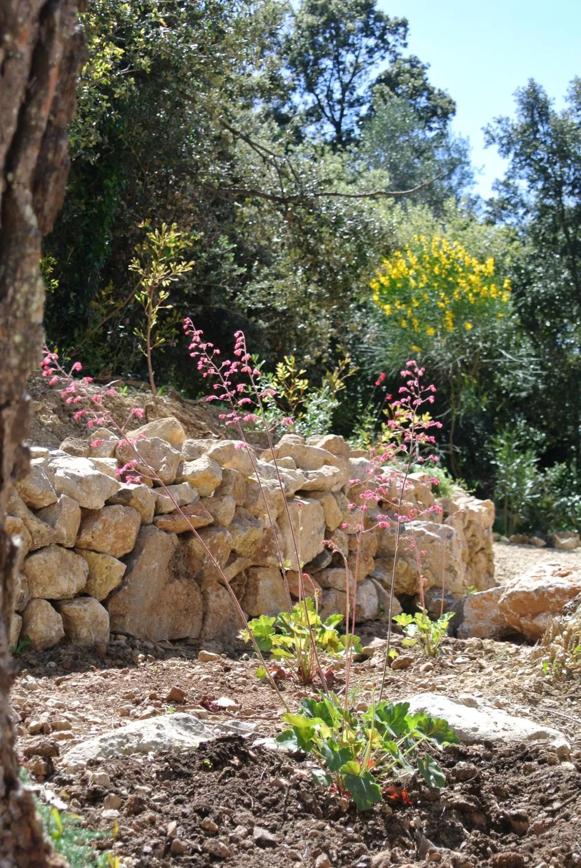 CARPE DIEM Résidence Hôtelière