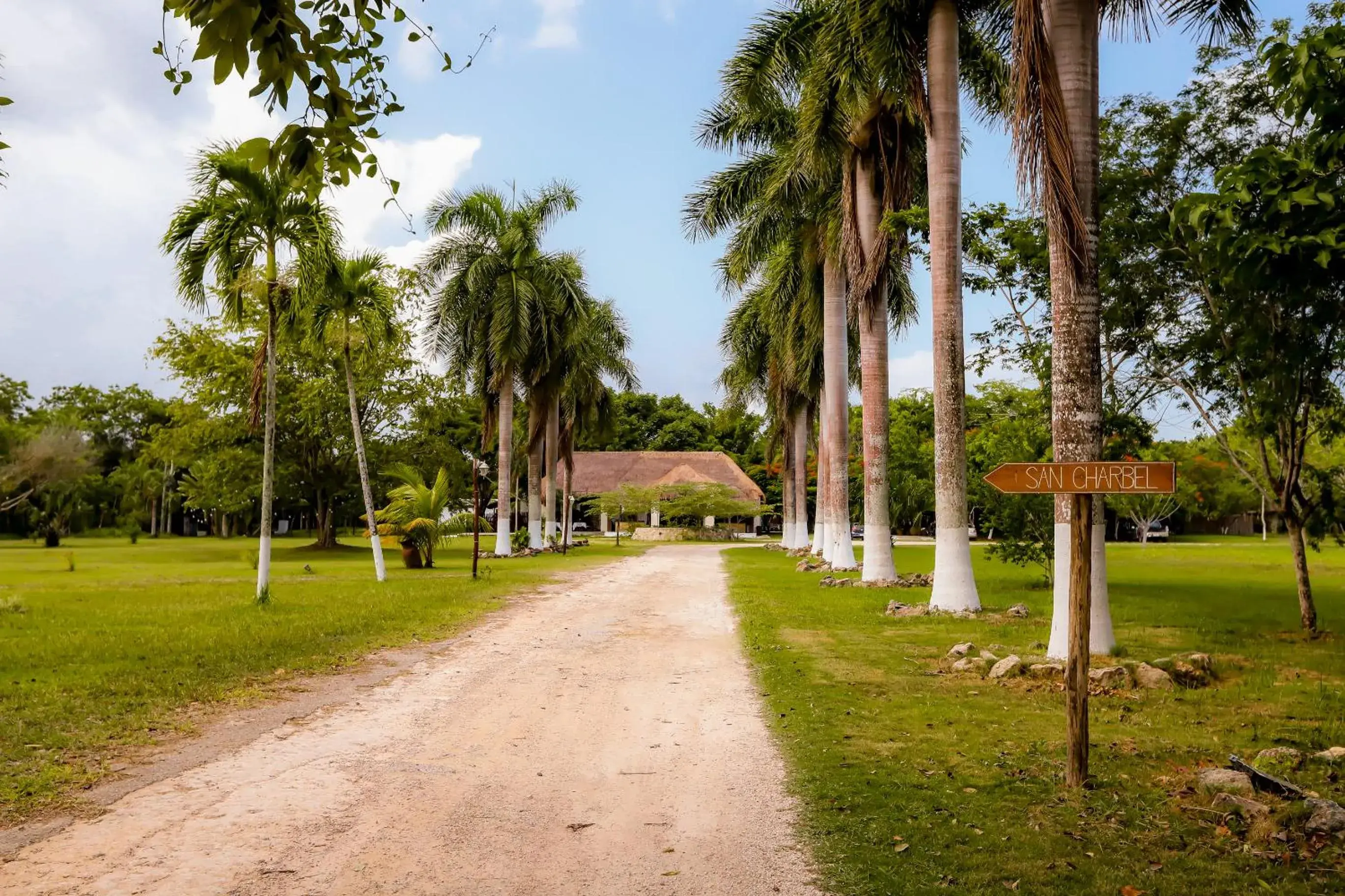 Natural landscape, Garden in Mayan Secret Hotel Boutique