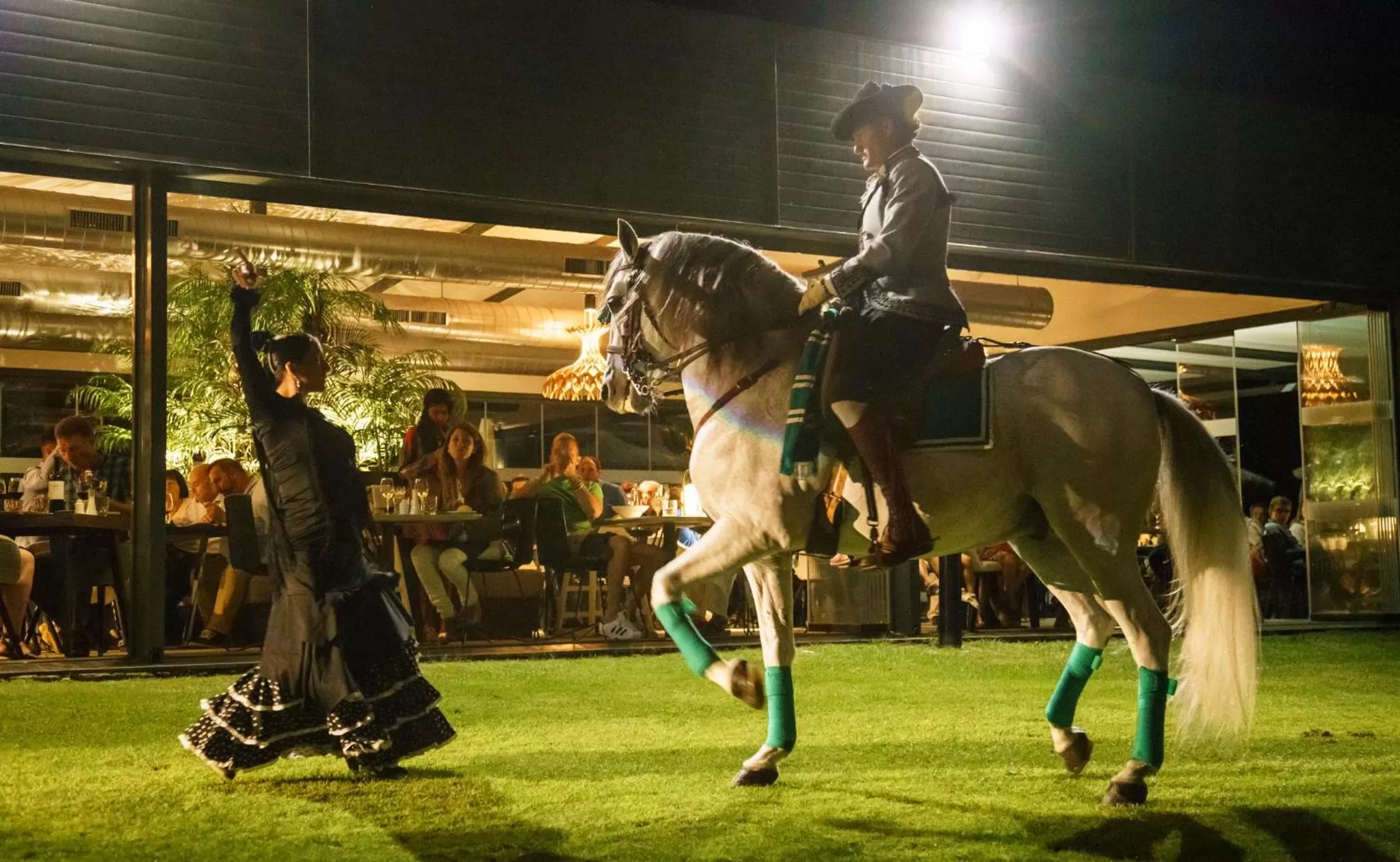 Entertainment in Ilunion Calas de Conil