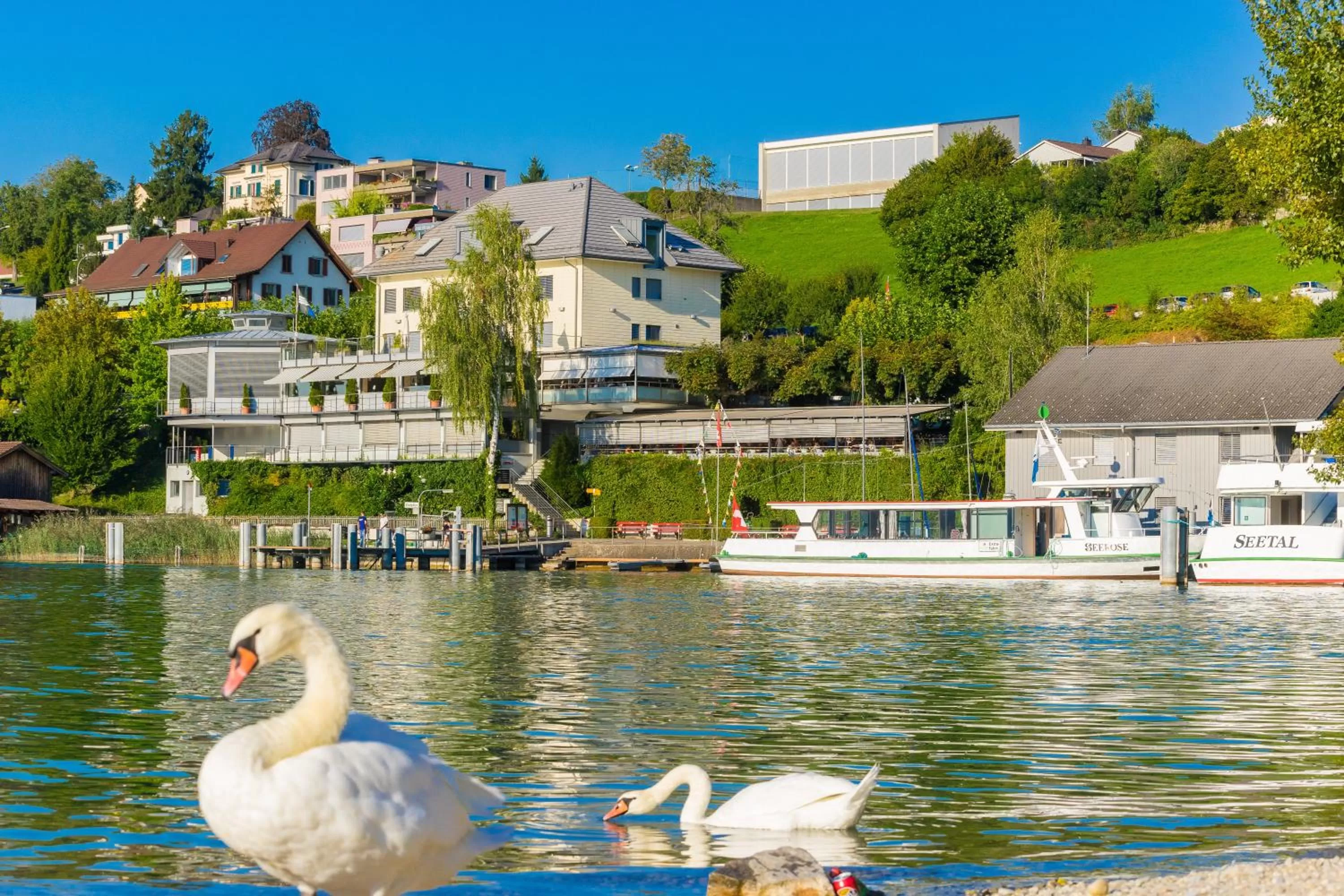 Beach in Seehotel Delphin