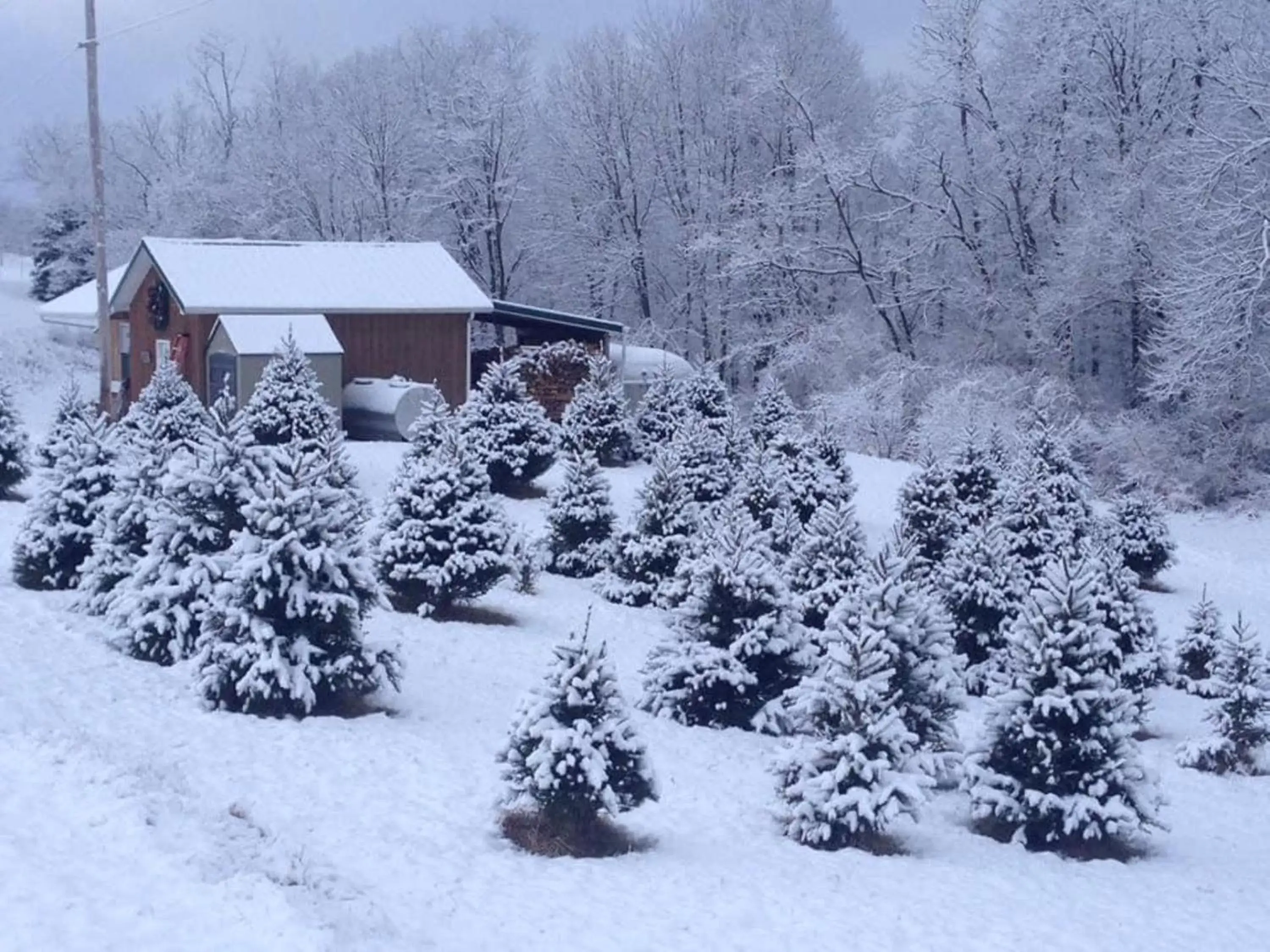 Nearby landmark, Winter in Holiday Inn Express & Suites New Martinsville, an IHG Hotel