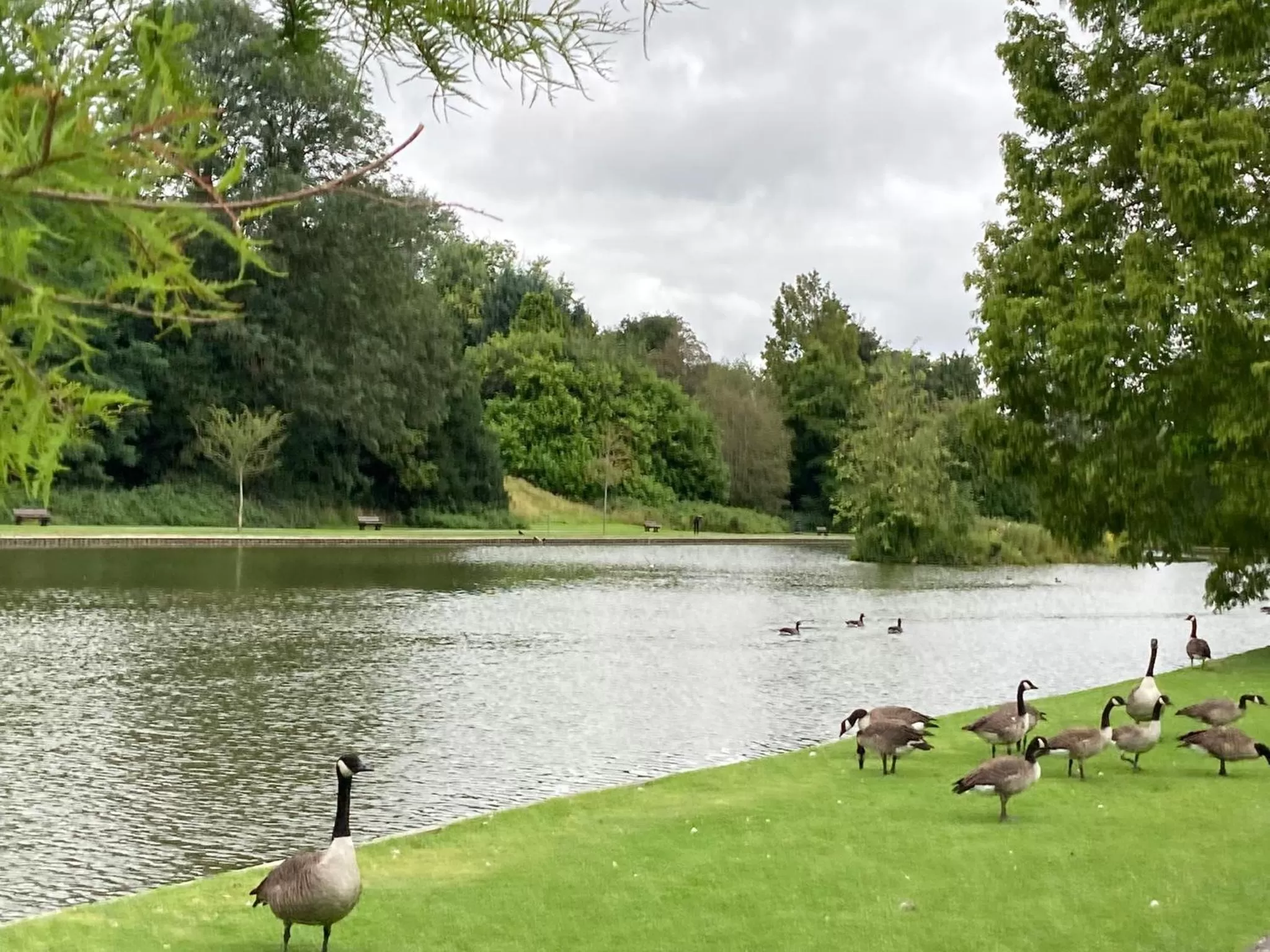 Other in Strawberry line, flat 2