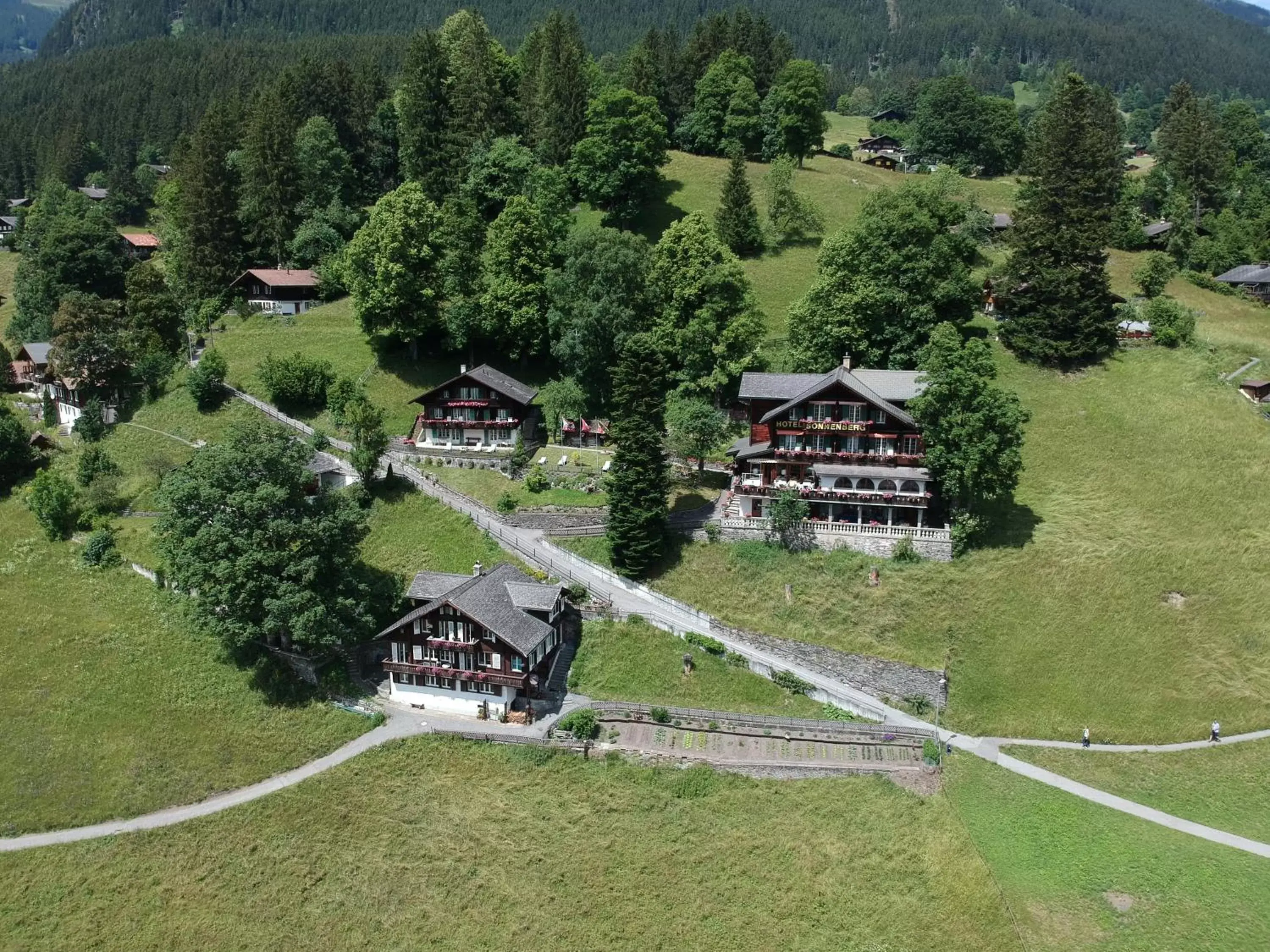 Bird's eye view, Bird's-eye View in Hotel Sonnenberg