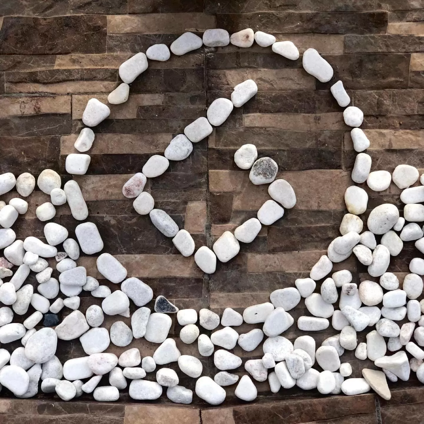 Departamentos Bonsai