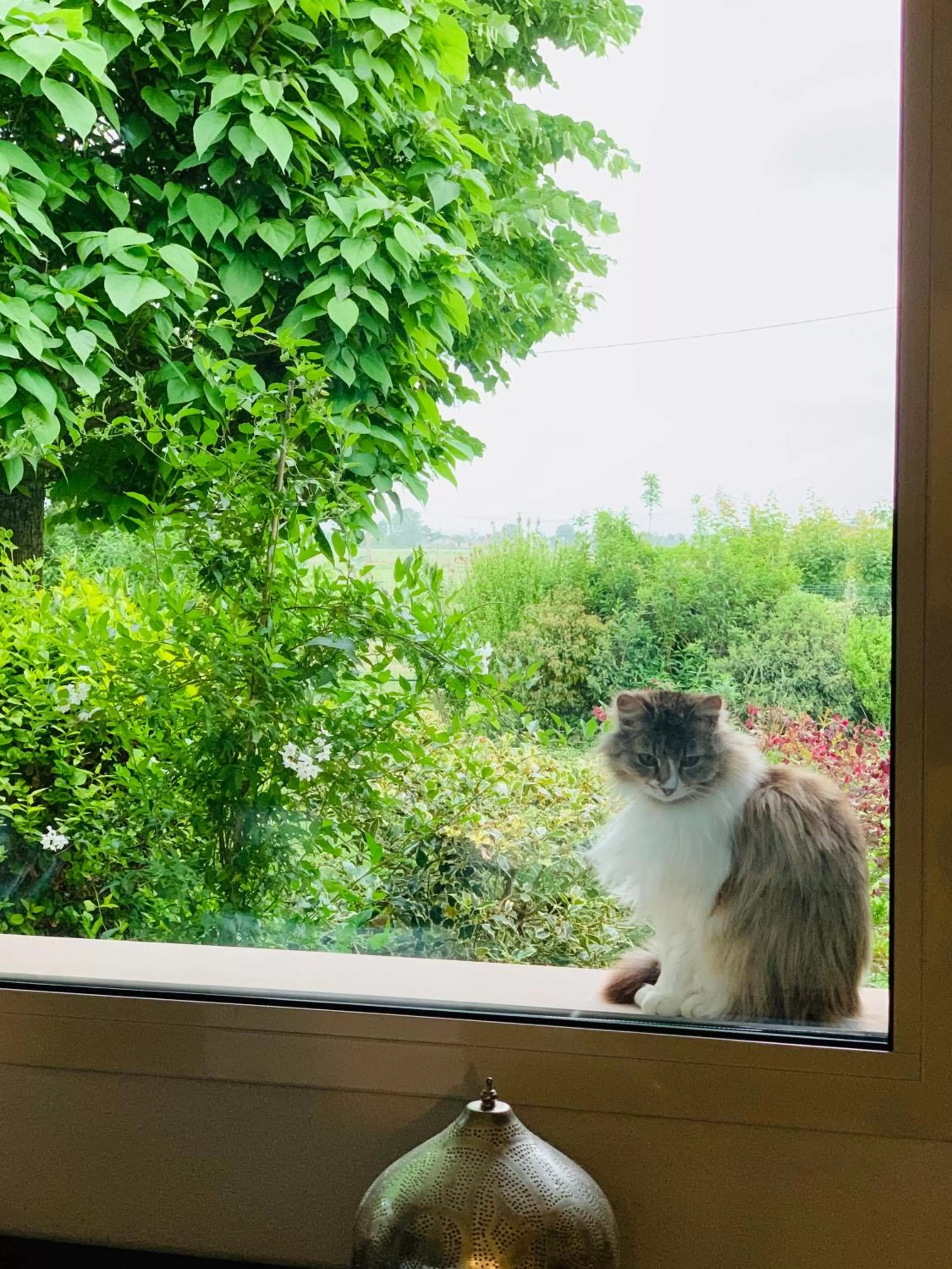 Garden view in B&B Beauty House