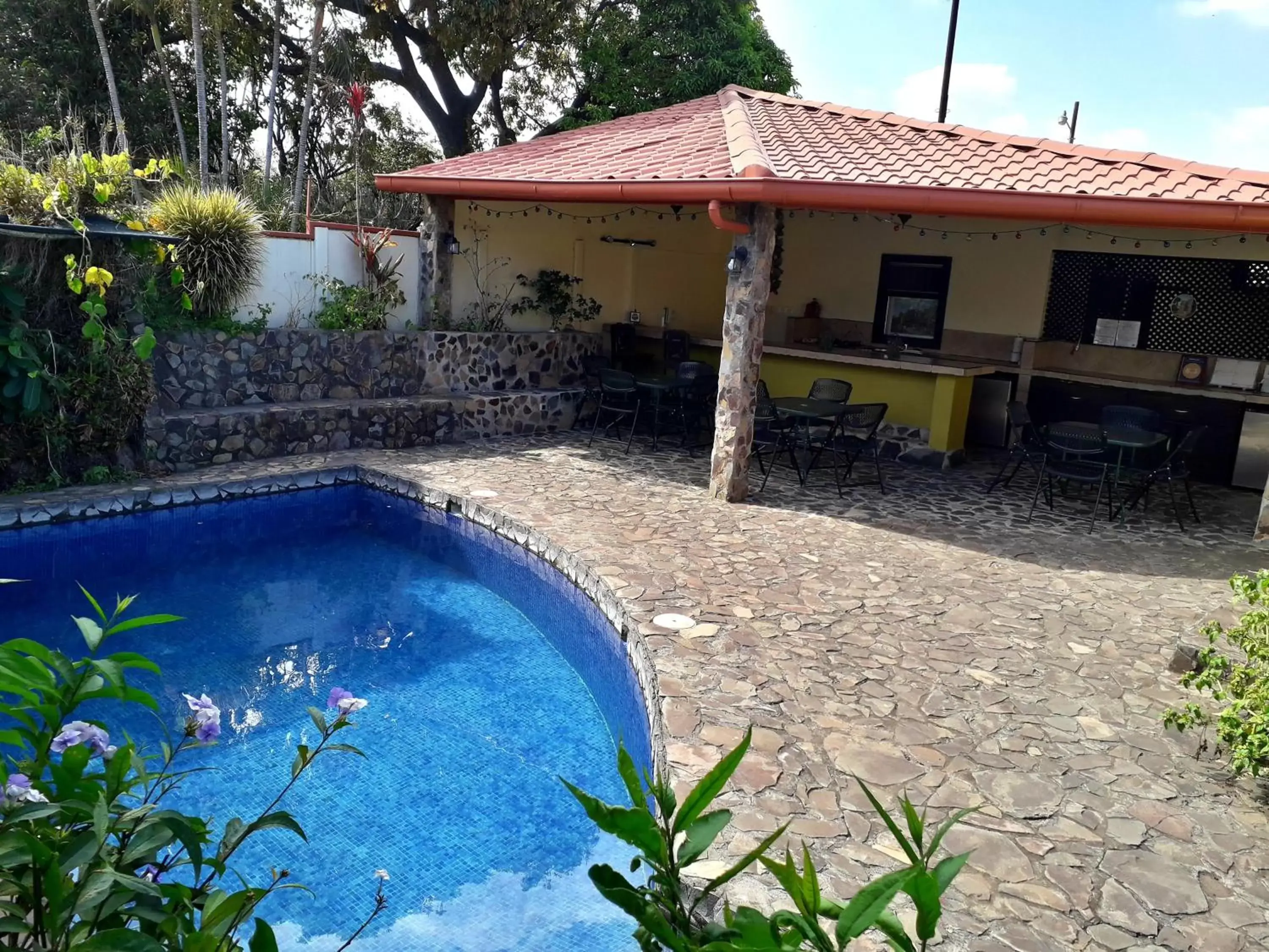Area and facilities, Swimming Pool in Dos Palmas Studio Apartments