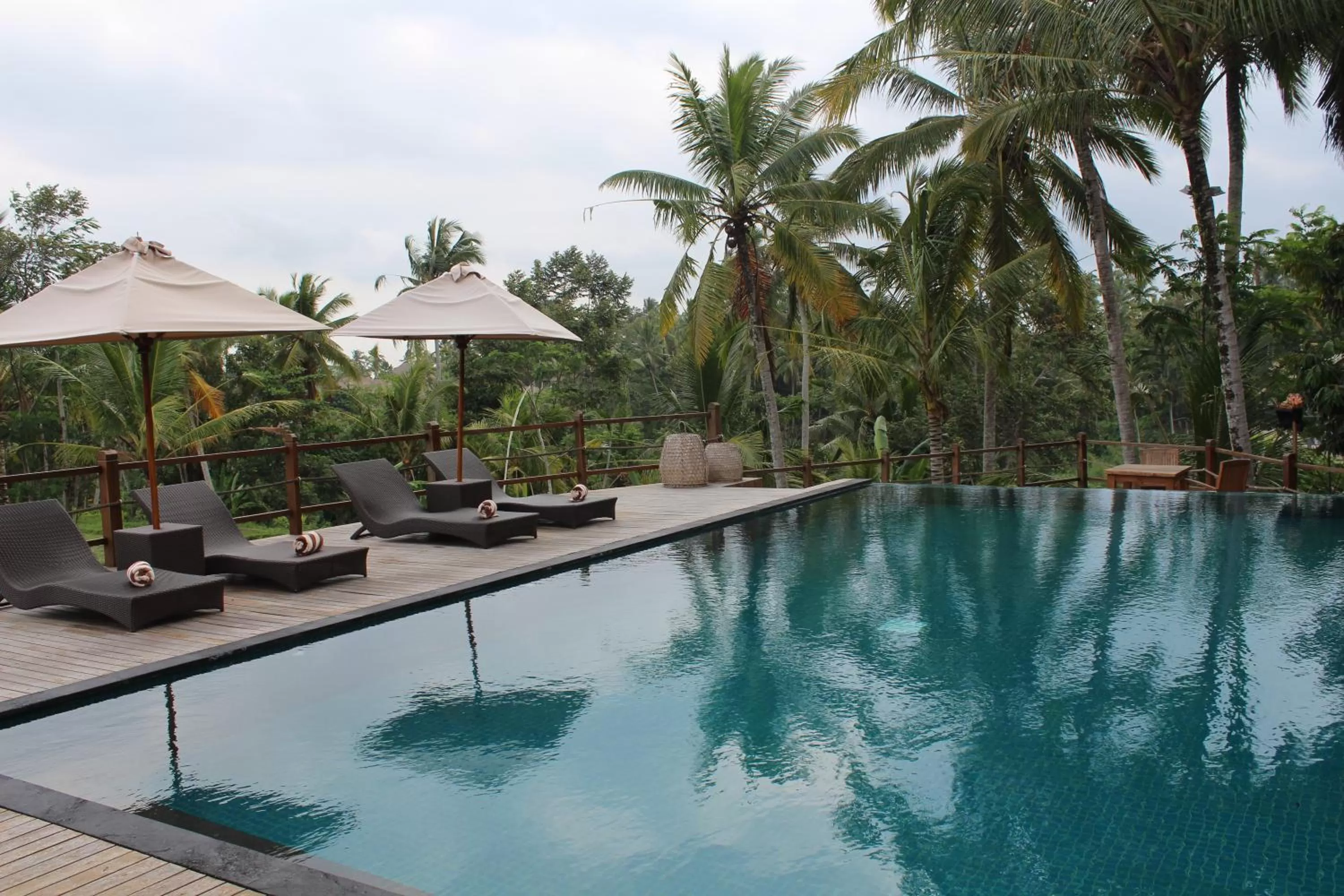 Swimming pool in Manyi Village Ubud