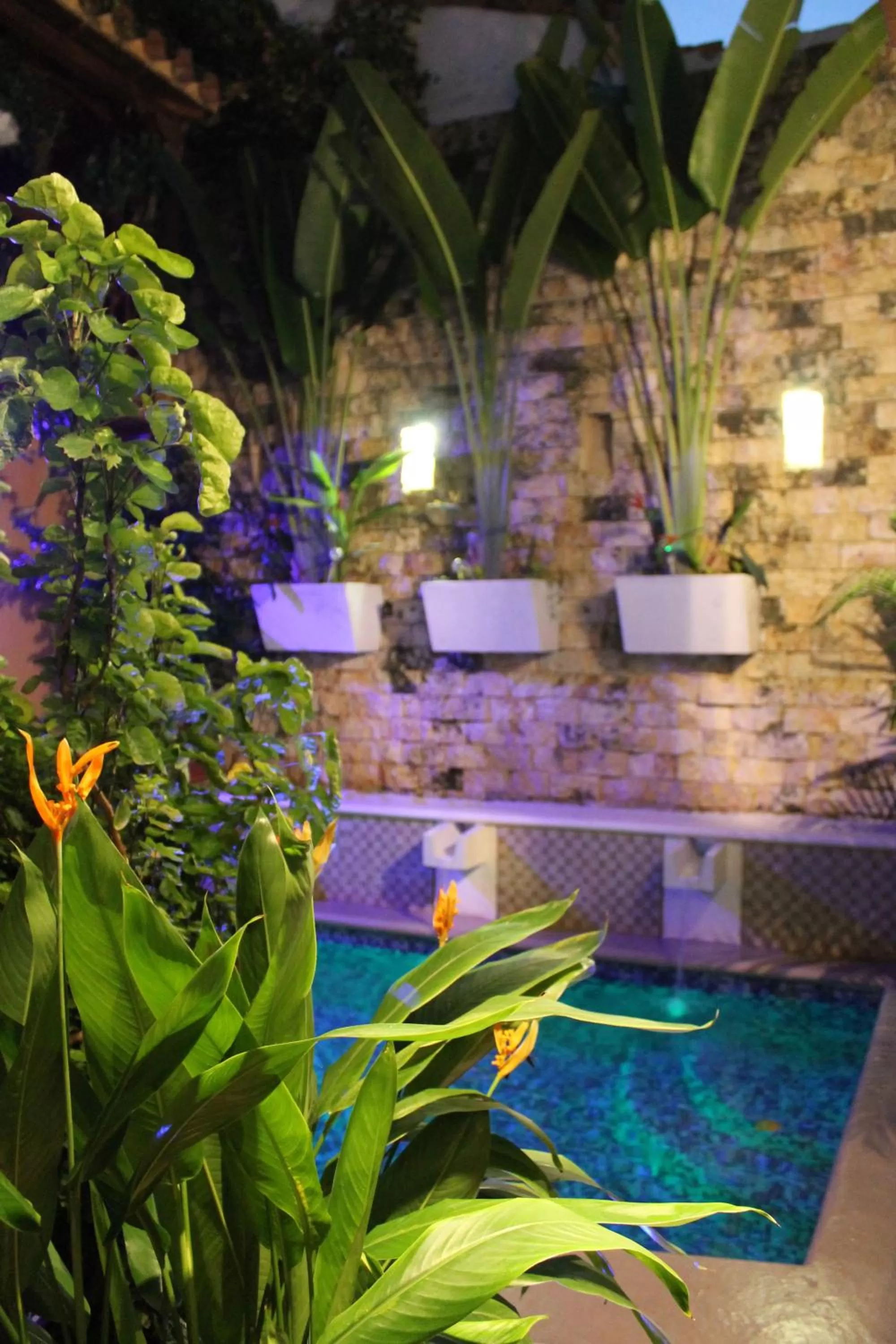 Patio in Hotel Casa Gloria Boutique